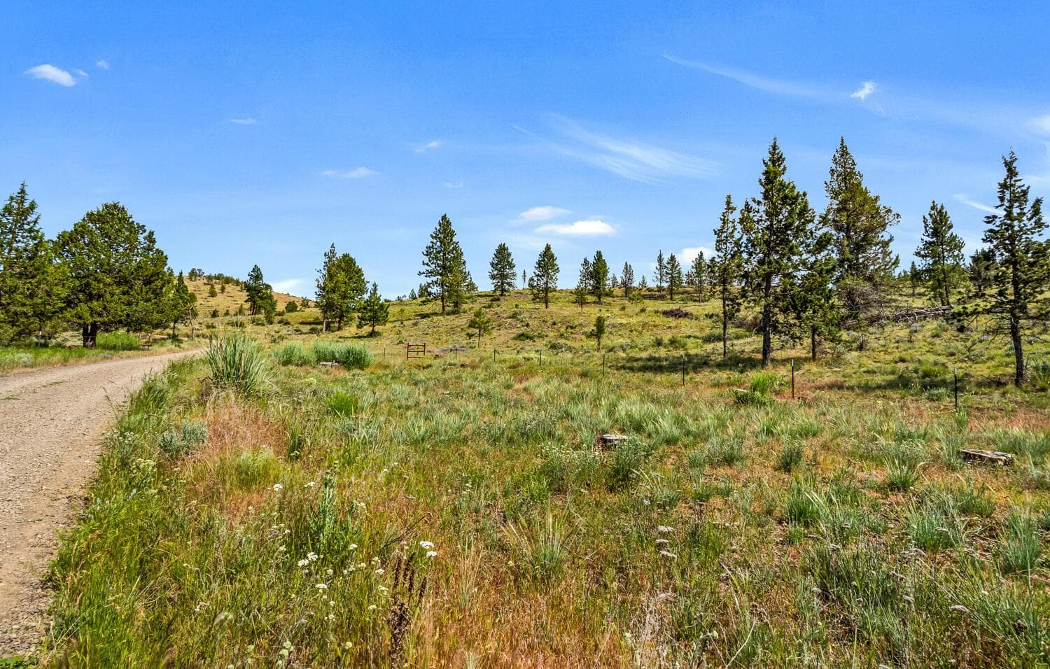 Photo of 9988 NE Cody Ridge Road 45 of 49
