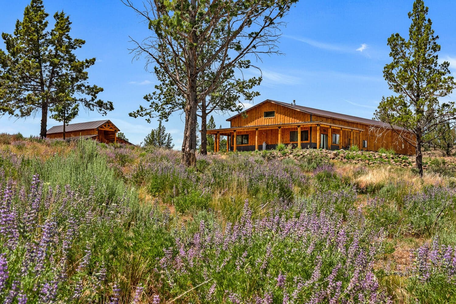 Photo of 9988 Cody Ridge 3 of 49