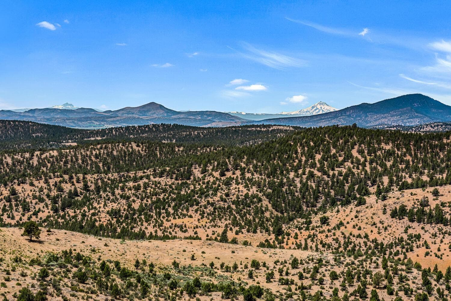 Photo of 9988 NE Cody Ridge Road 36 of 49