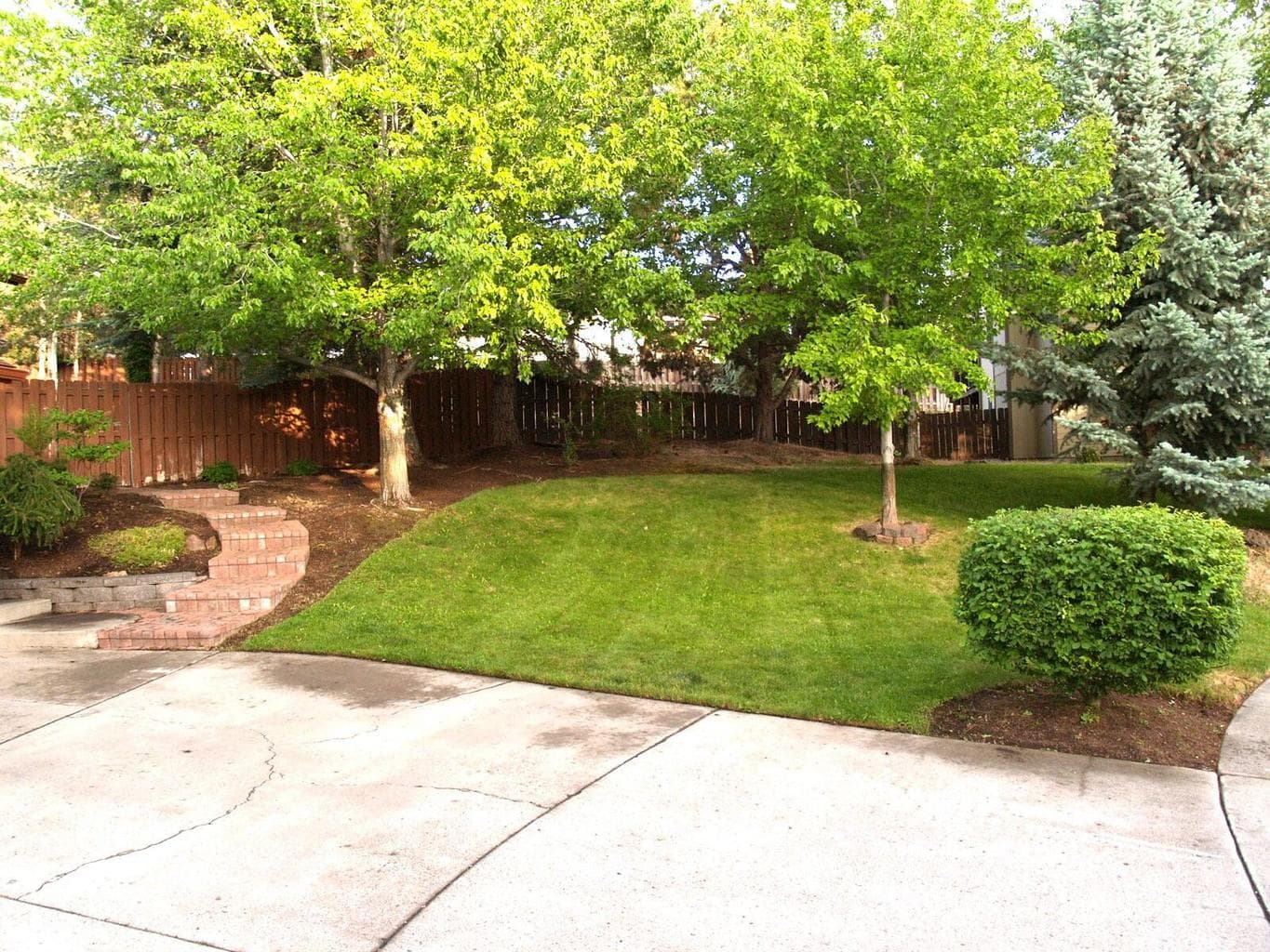 Nice manicured front lawn and brick walk to back yard