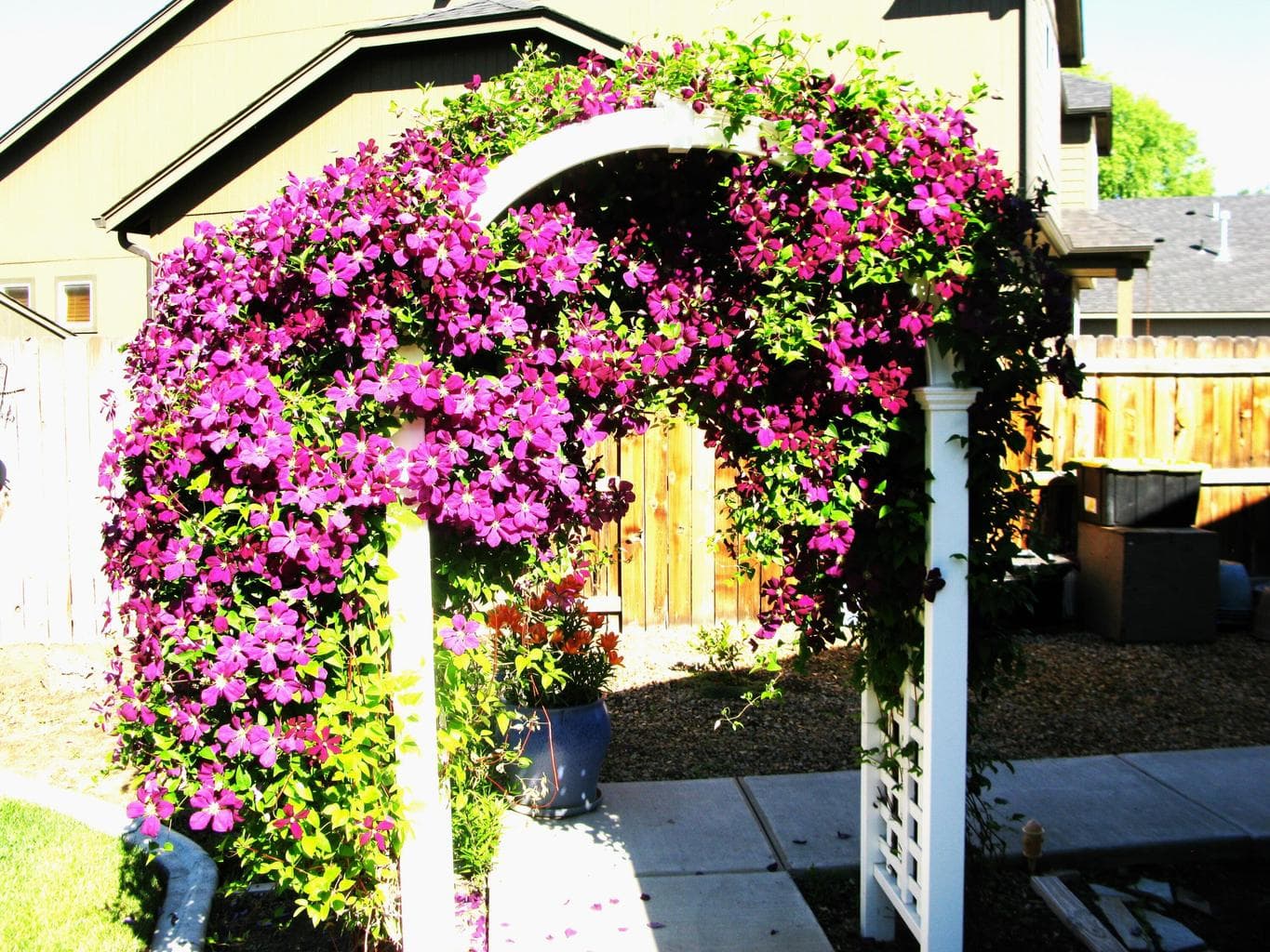 Photo of 1930 NW Quince Tree Court 23 of 28