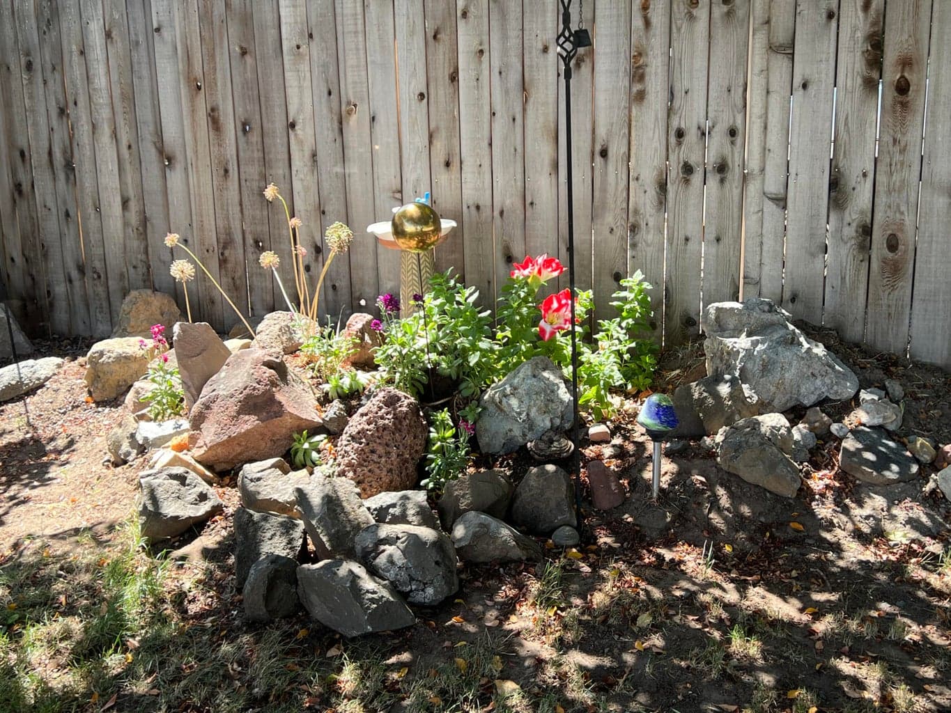 Front yard