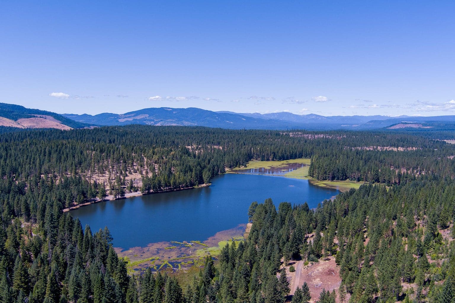 Medco Pond Ariel View
