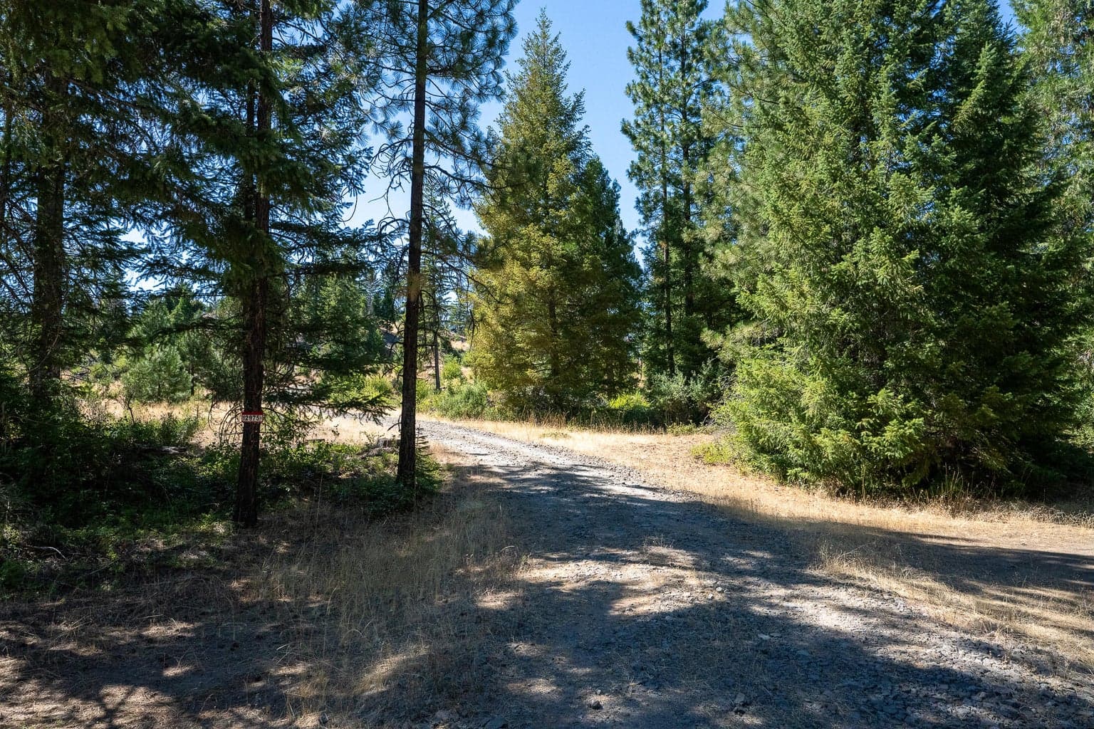 Photo of 12975 Butte Falls- Prospect 3 of 18