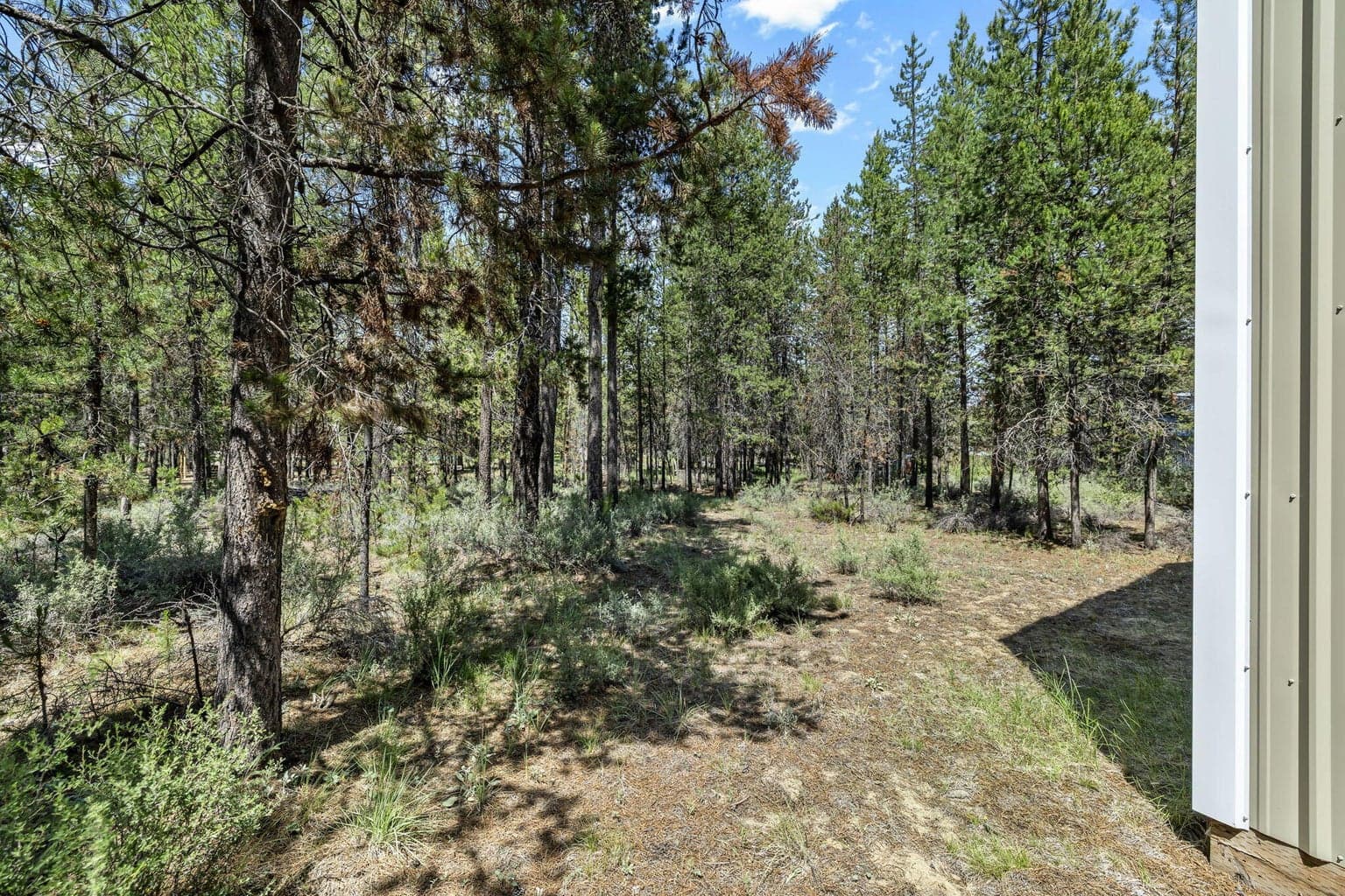 Additional wooded land behind shop