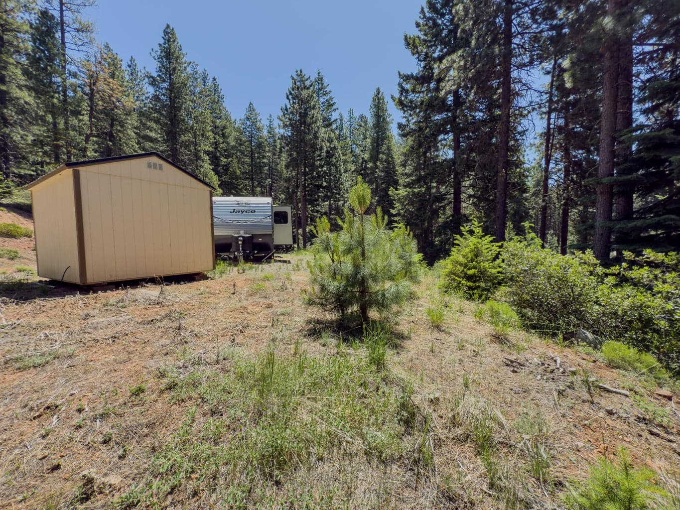 Photo of 0 Paragon 5 of 29