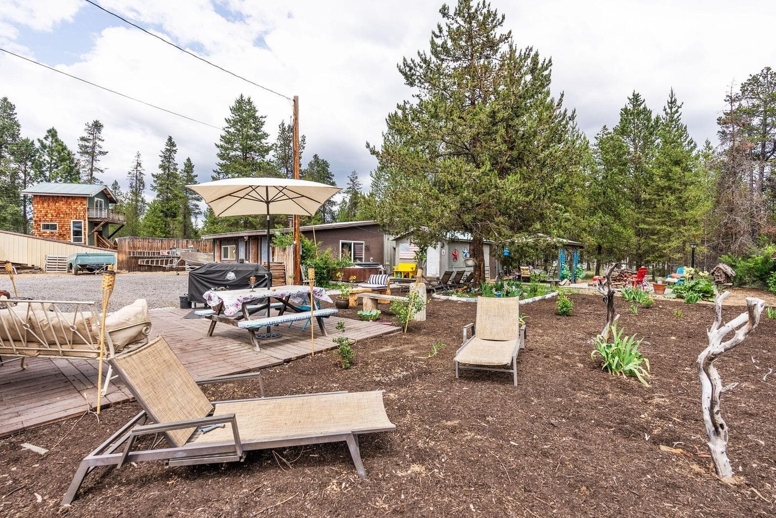 Backyard
