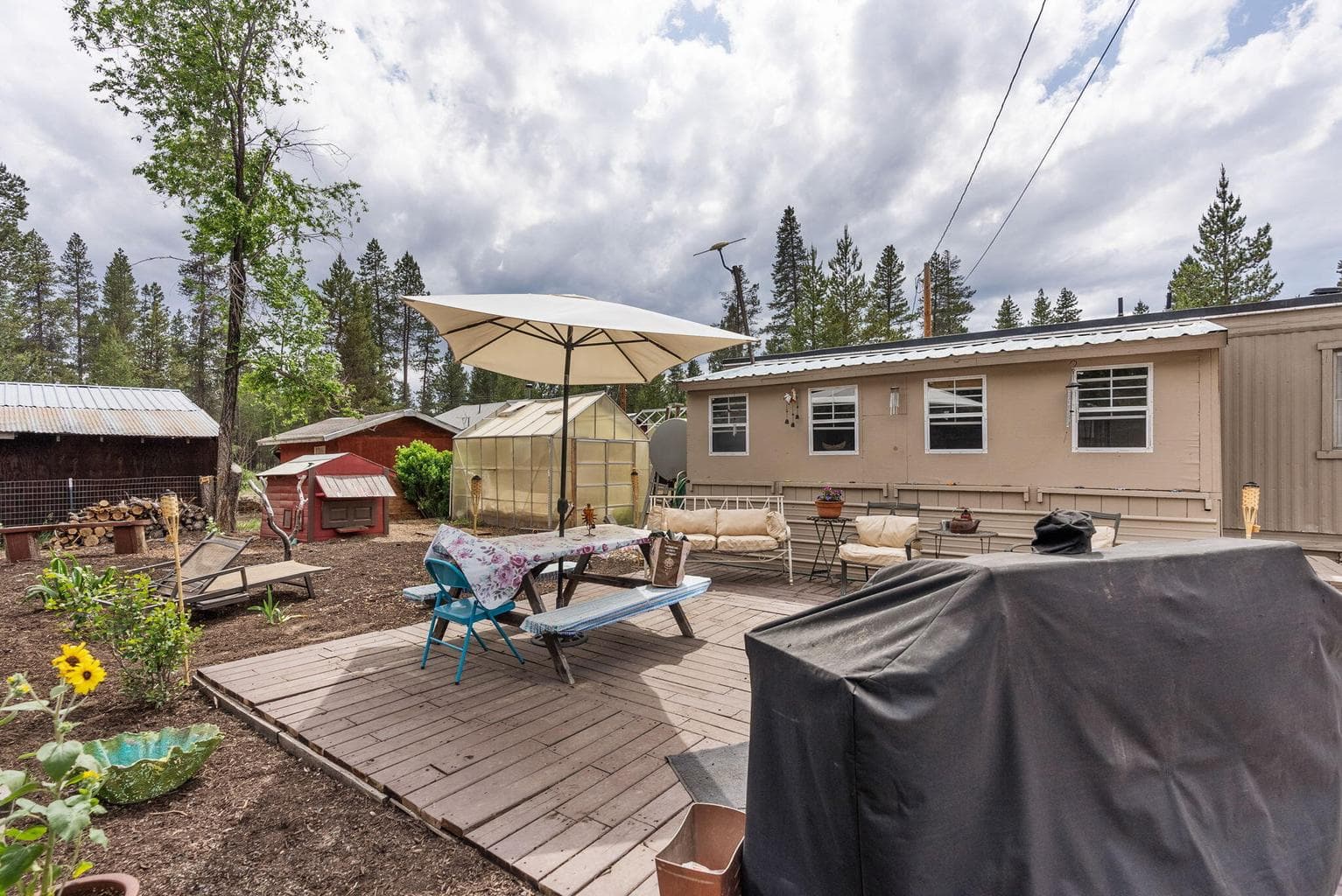 Backyard