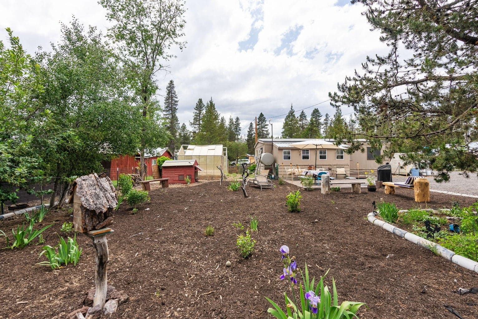 Backyard