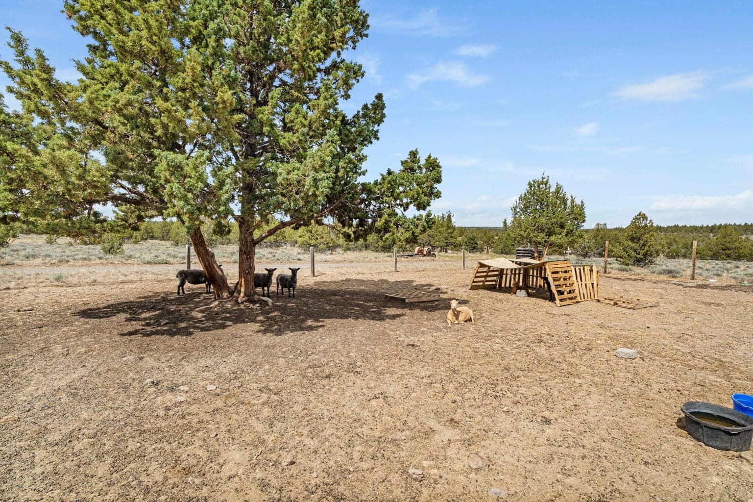 Photo of 6290 SE Hilltop Road 38 of 43
