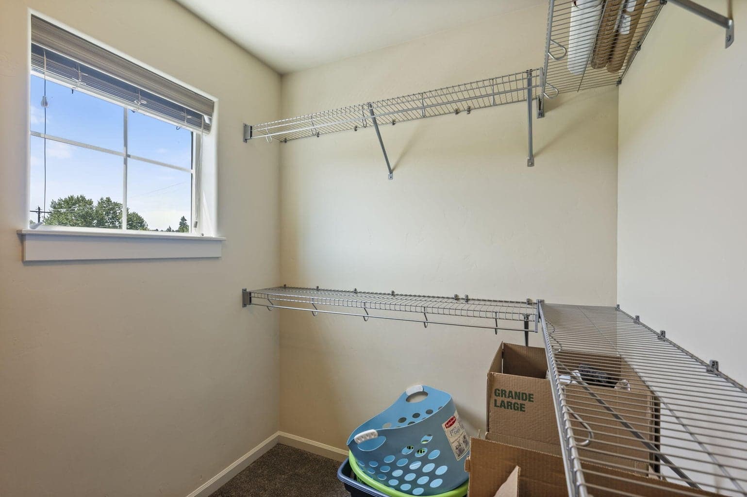 Primary Closet