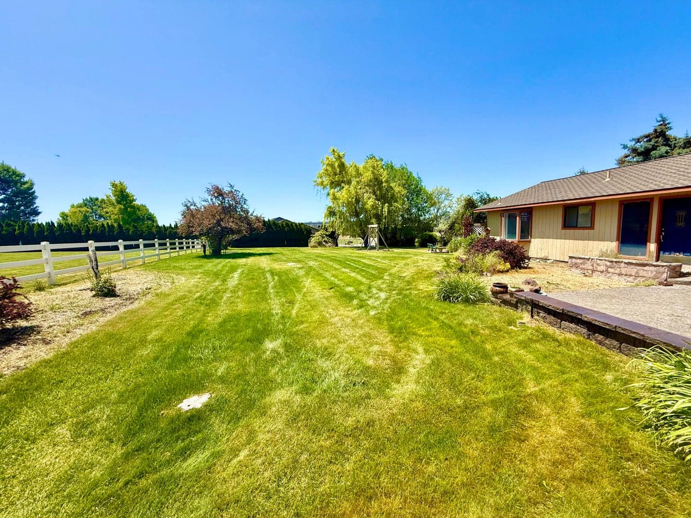 Front yard