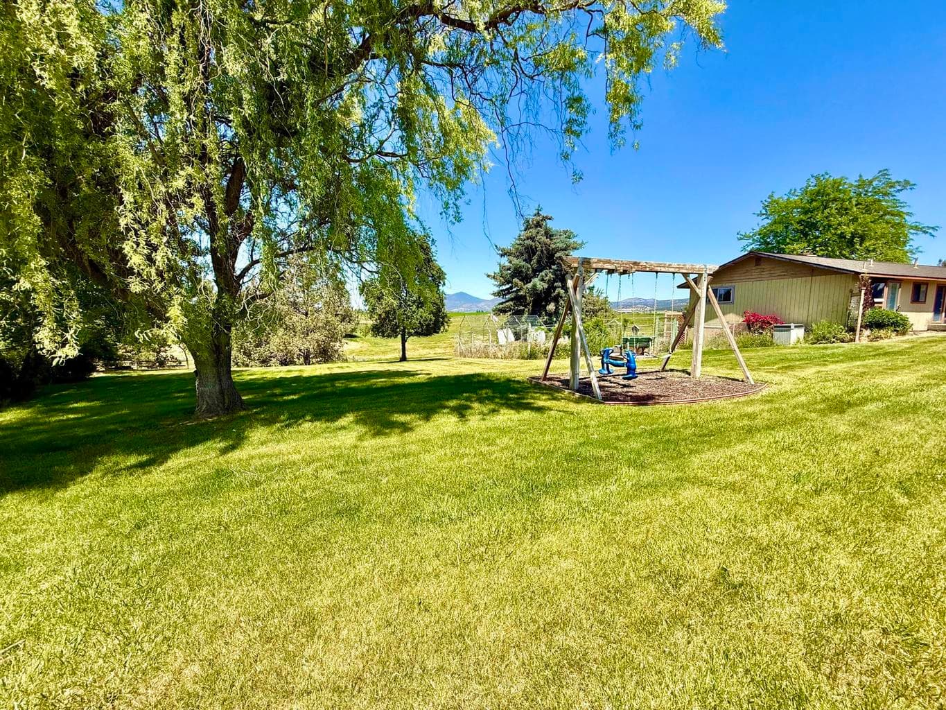 Front/side yard