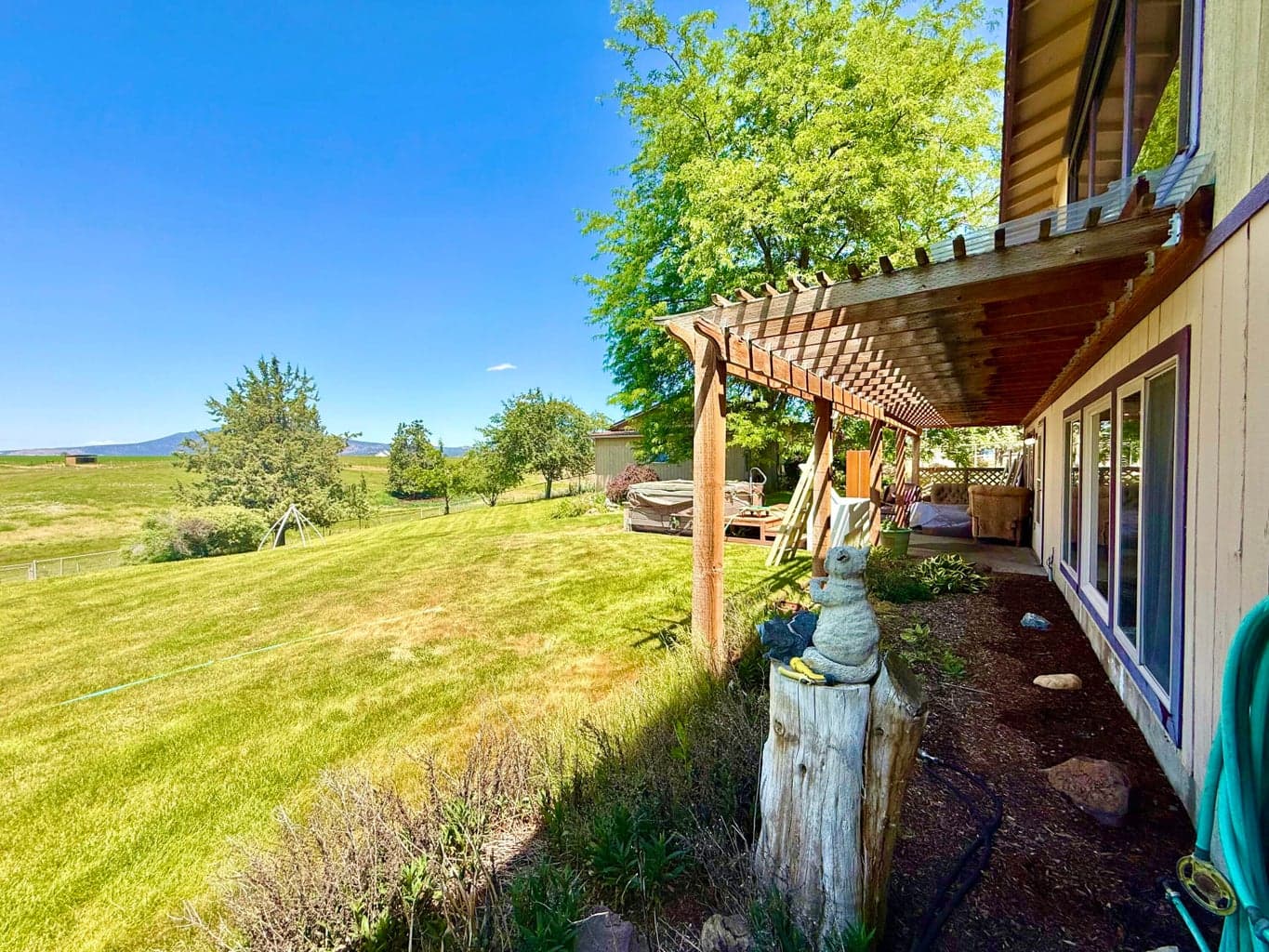 Back yard