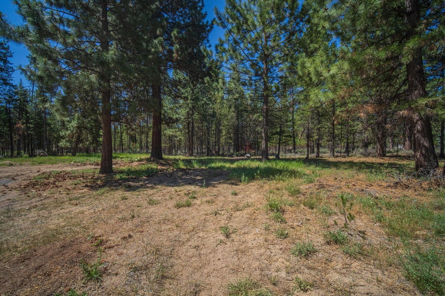 Photo of 15893 Fir Road 6 of 30