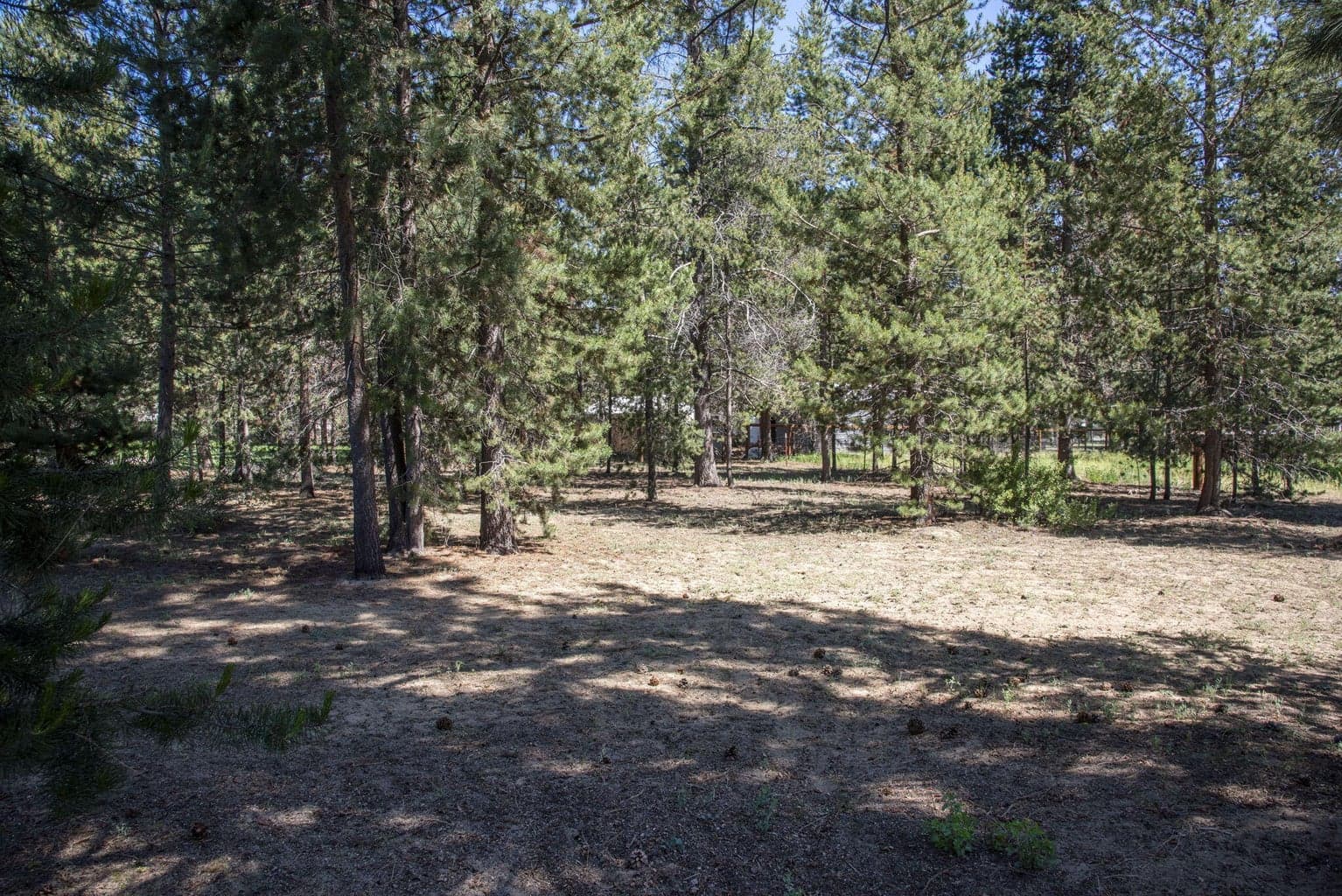 Photo of 16121 Lava Drive 30 of 30
