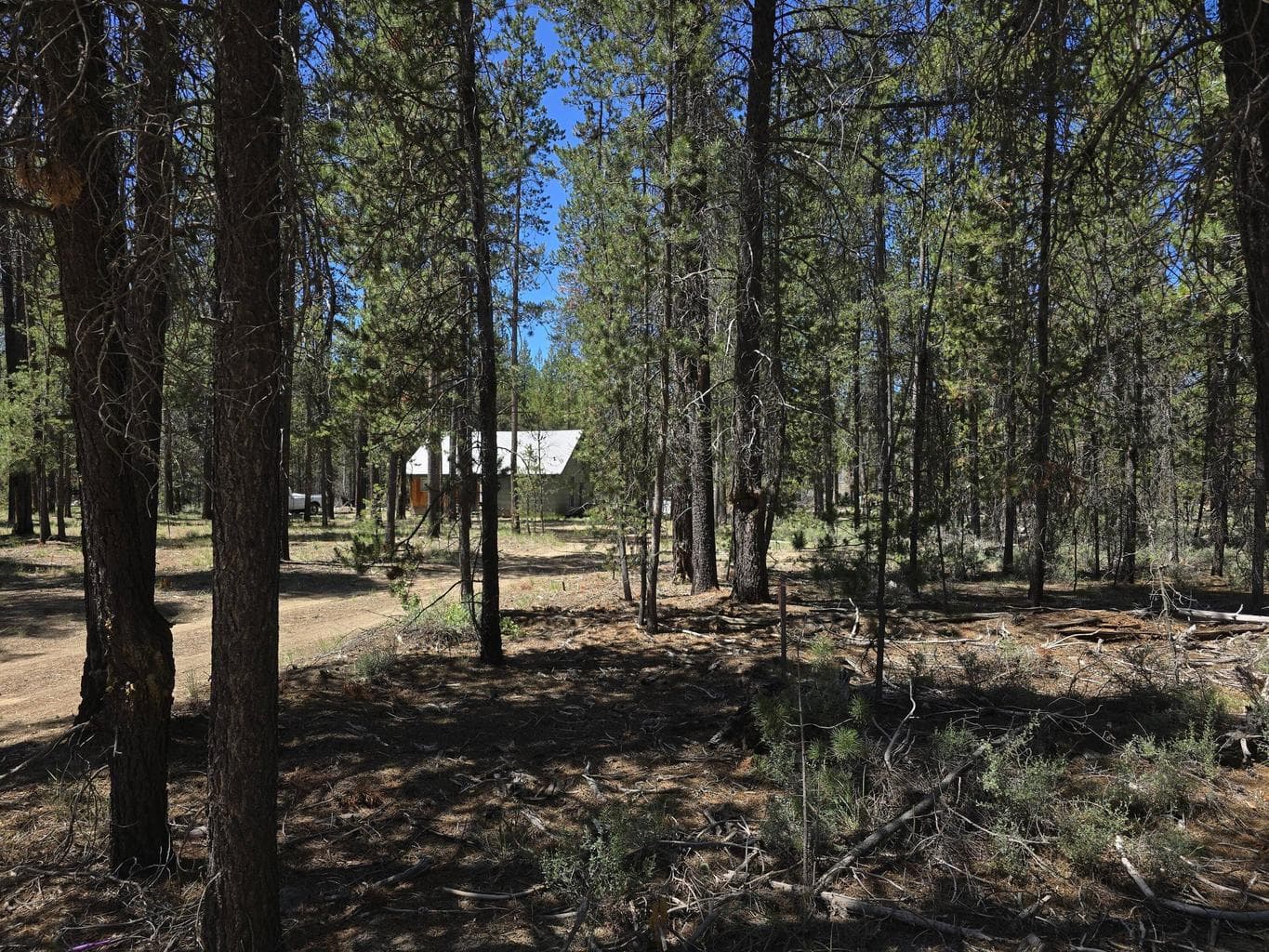 This view of the cabin/property is from the street. Driveway is circular.
