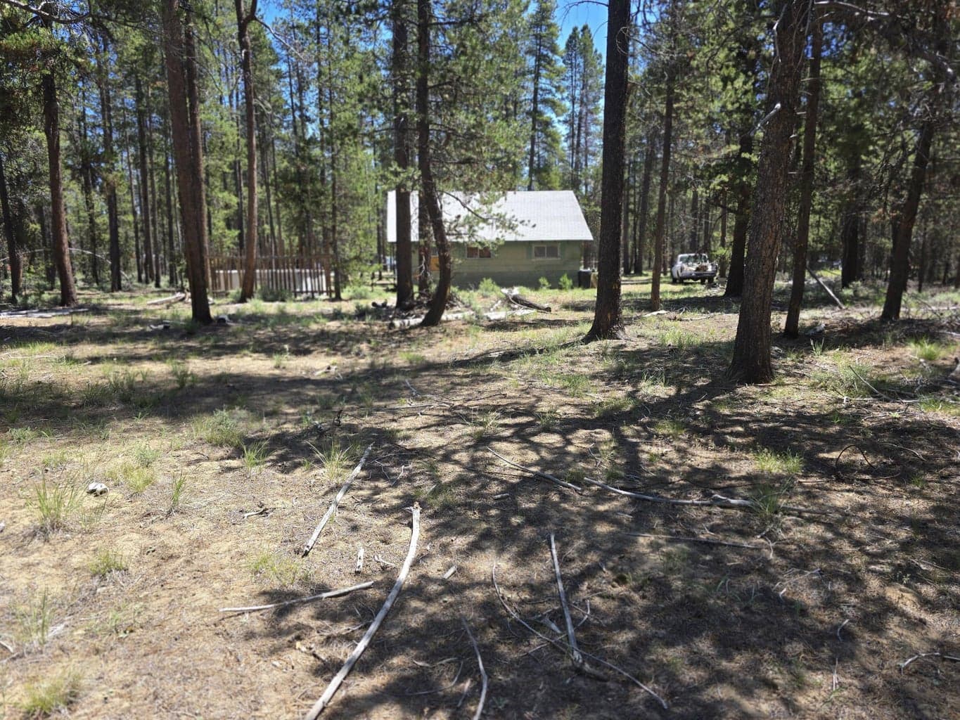 View if from the back of the property look toward back of the cabin.