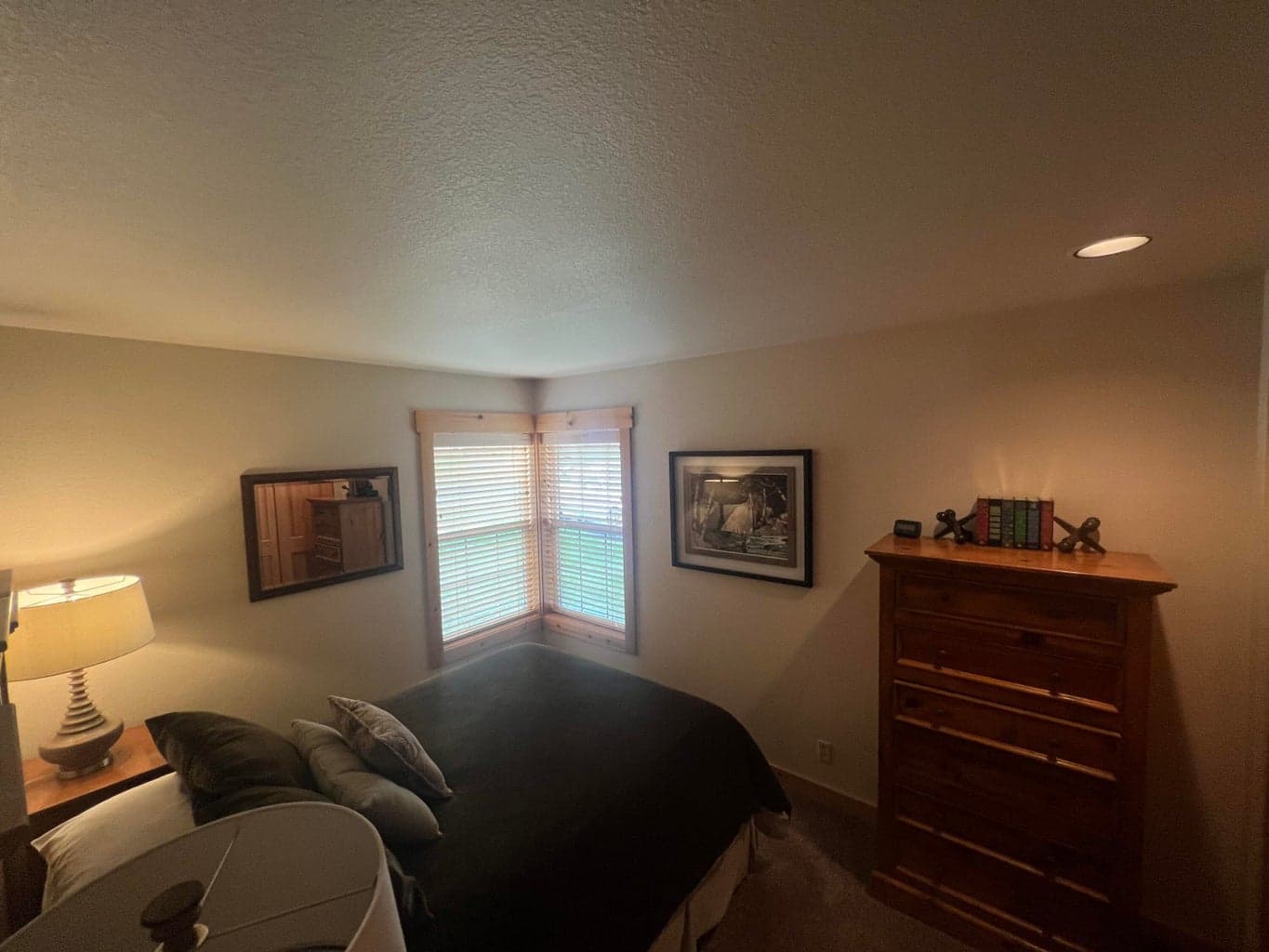 Photo of 1620 Cinnamon Teal Drive 11 of 37