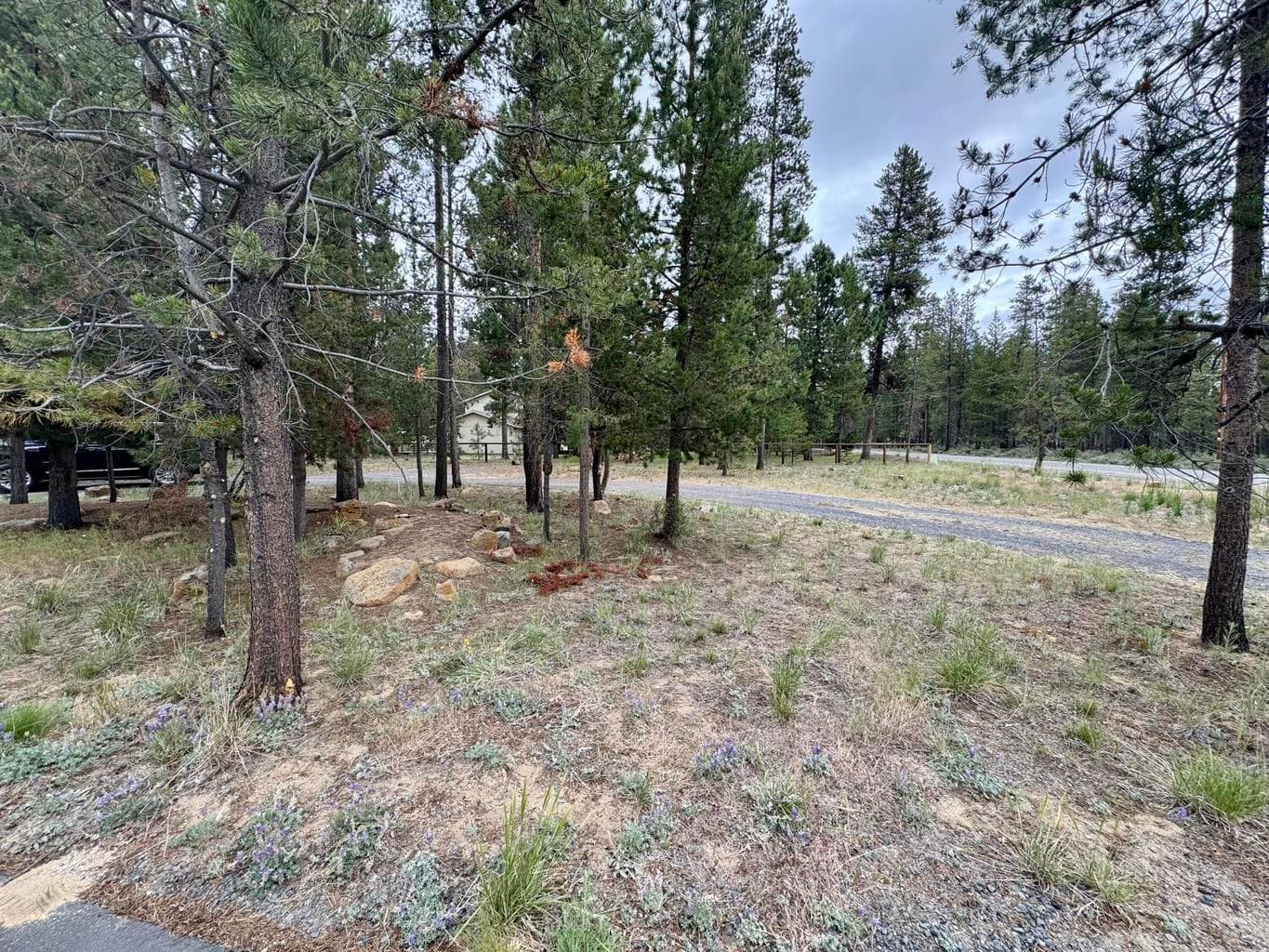 Photo of 52817 Rainbow Drive 49 of 52
