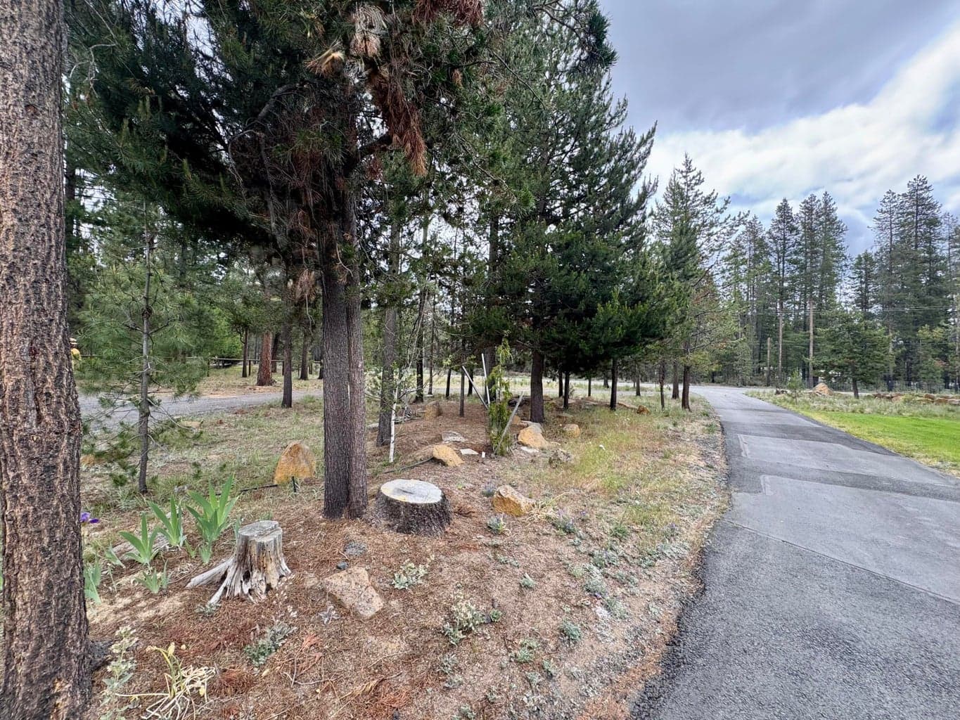 Photo of 52817 Rainbow Drive 50 of 52
