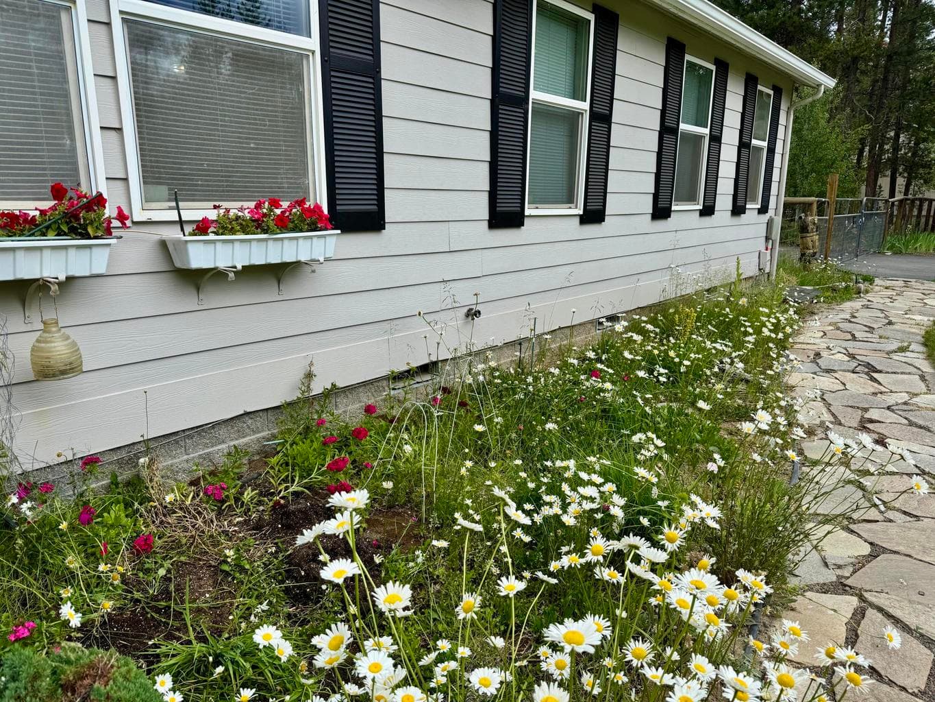 Photo of 52817 Rainbow Drive 11 of 52