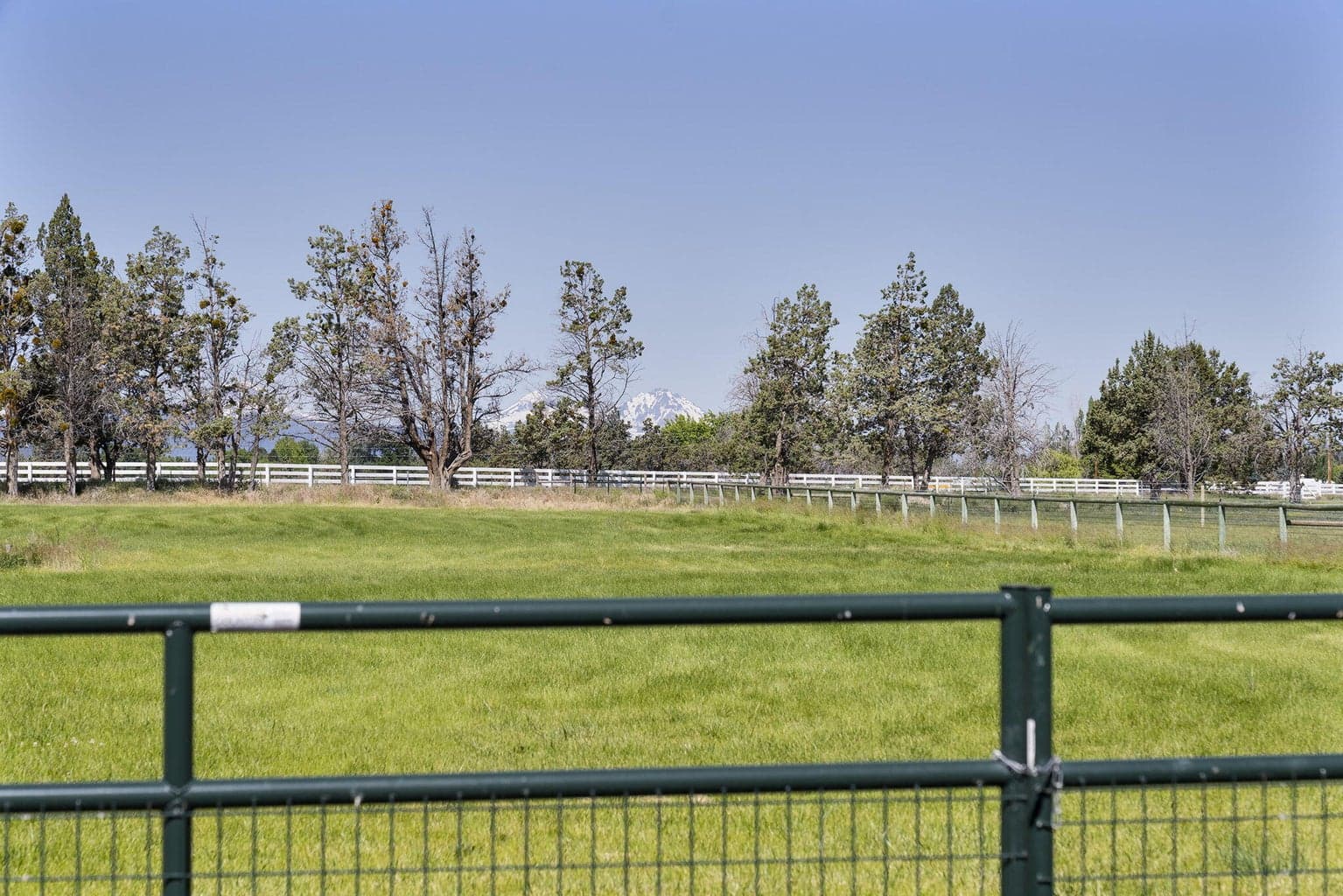 Photo of 22333 Nelson Road 76 of 97