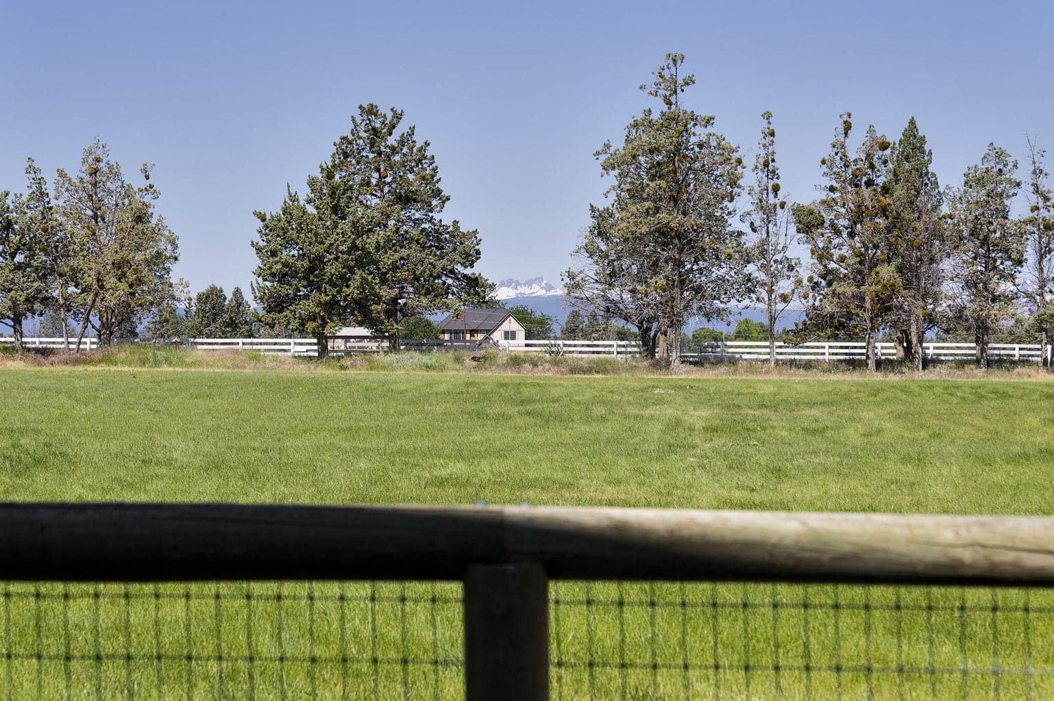 Photo of 22333 Nelson Road 77 of 97
