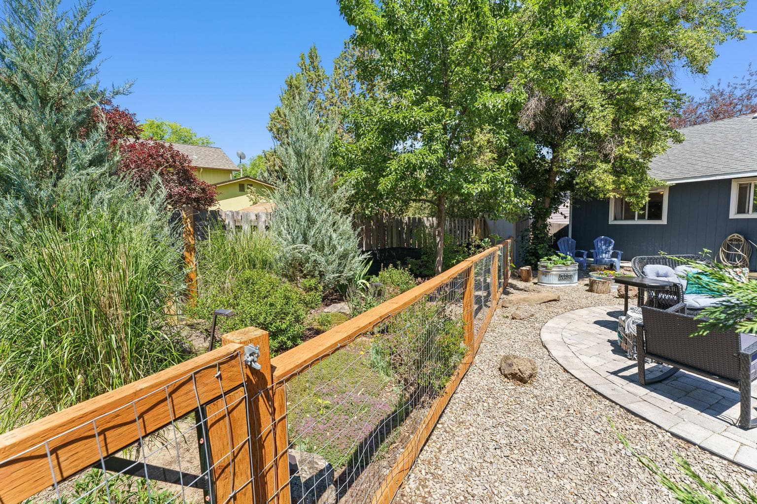 Backyard