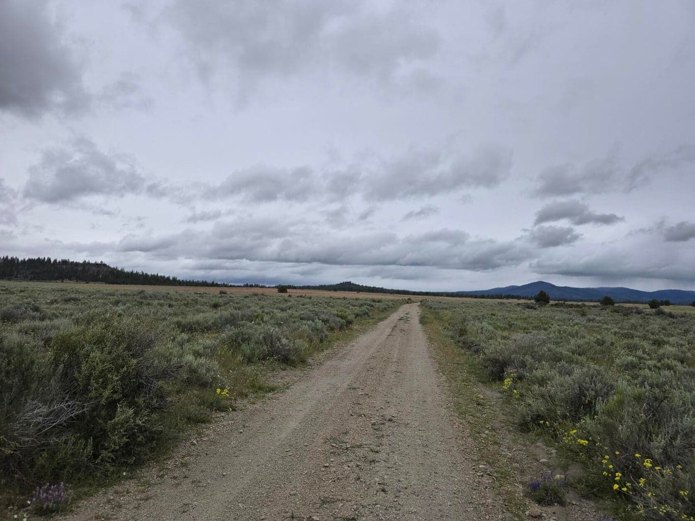 Area Photo