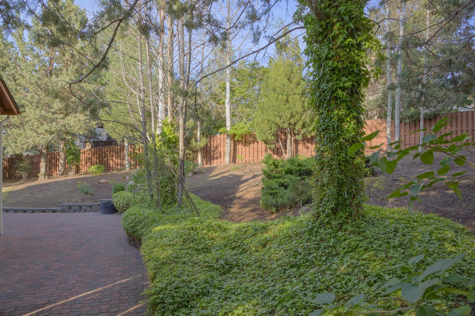 South side paver patio, mature landscape