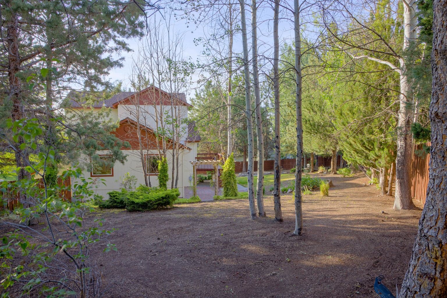 East side of large back yard