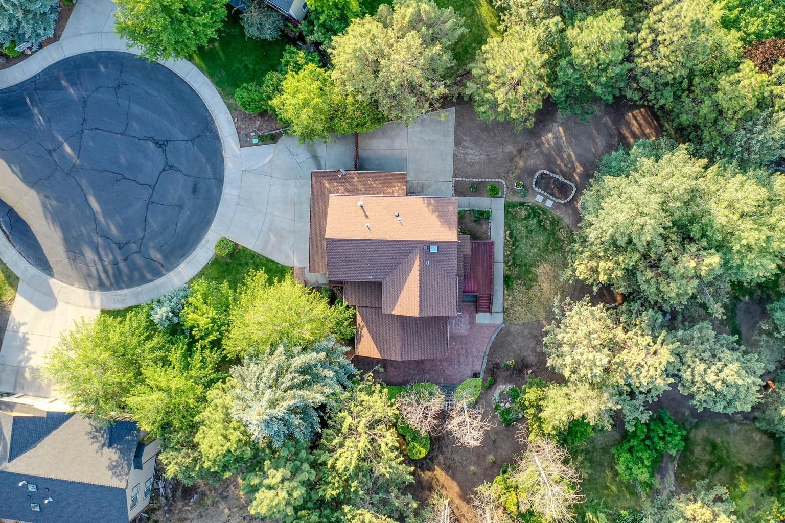 Birds eye view of mature trees and landscaping
