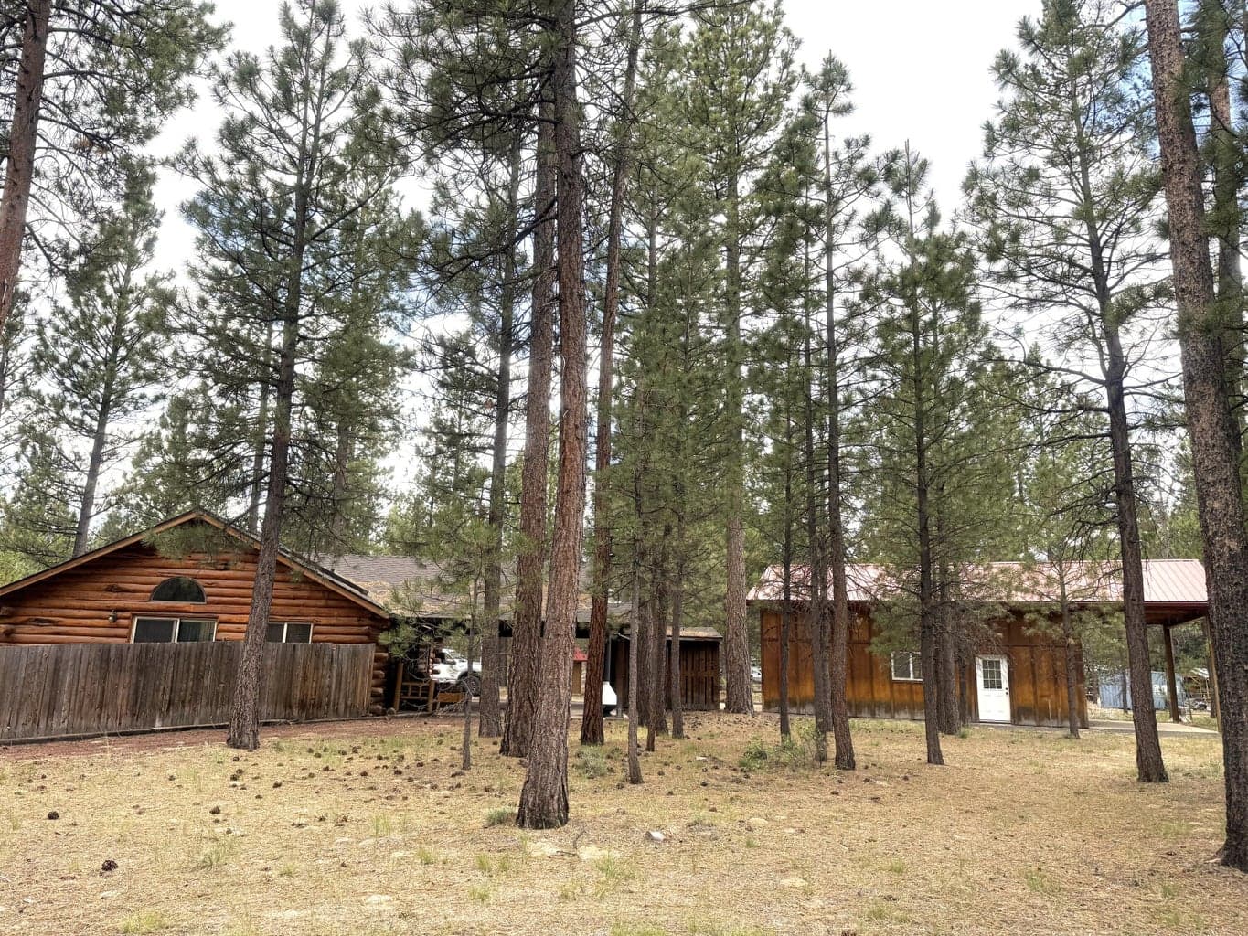Photo of 153206 Collar Drive 49 of 55