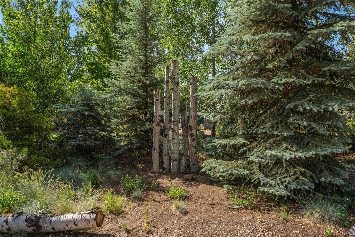 Photo of 21062 Desert Woods Drive 71 of 84