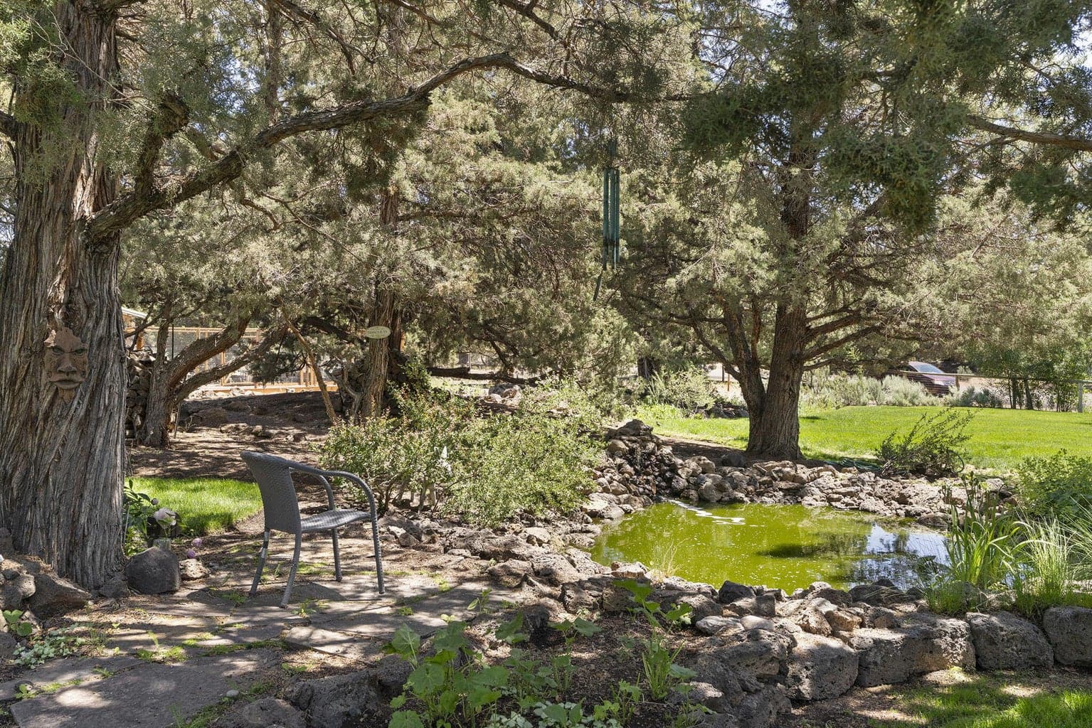 Photo of 23080 Chisholm Trail 19 of 26