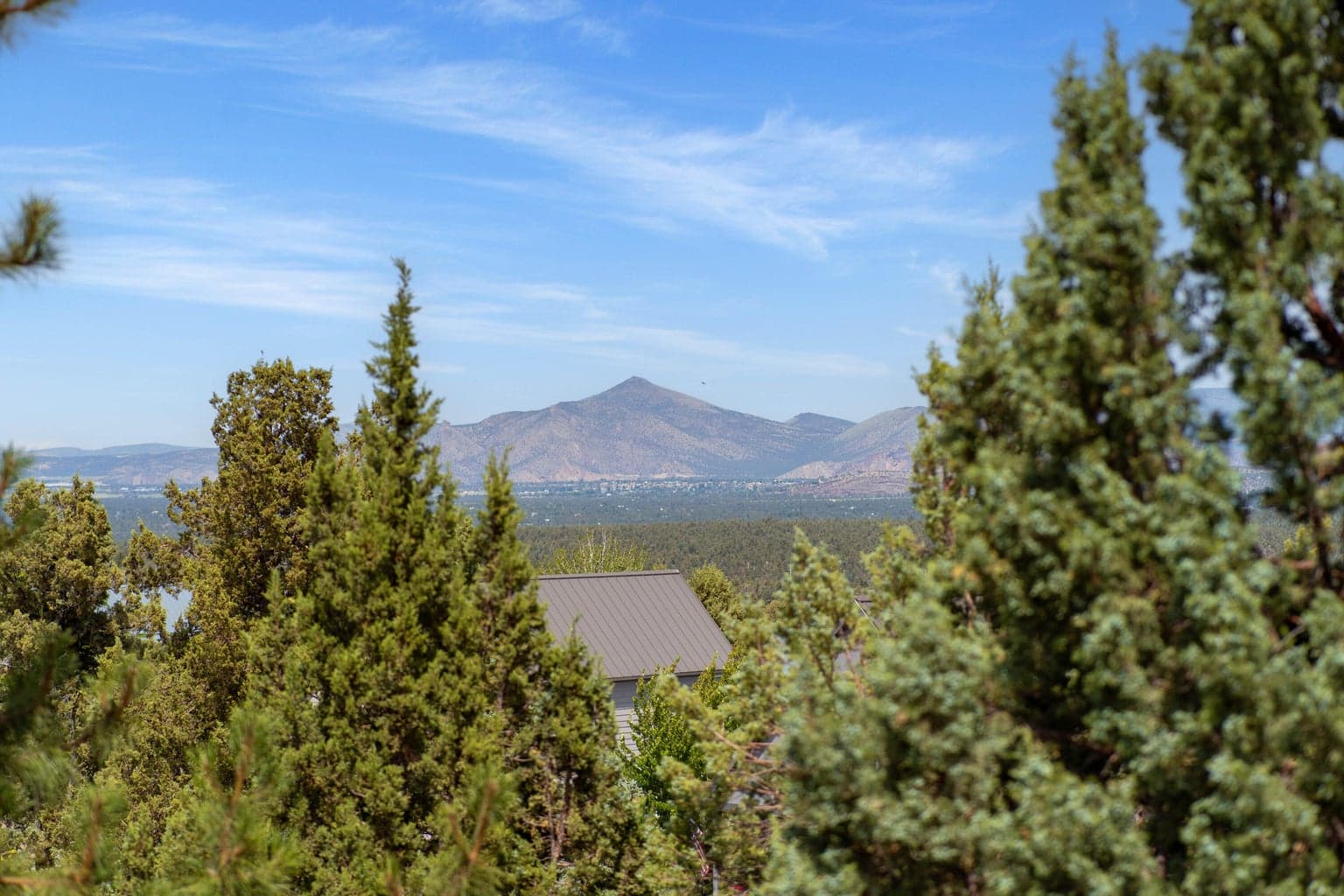 Photo of 330 Vista Rim Drive 25 of 103