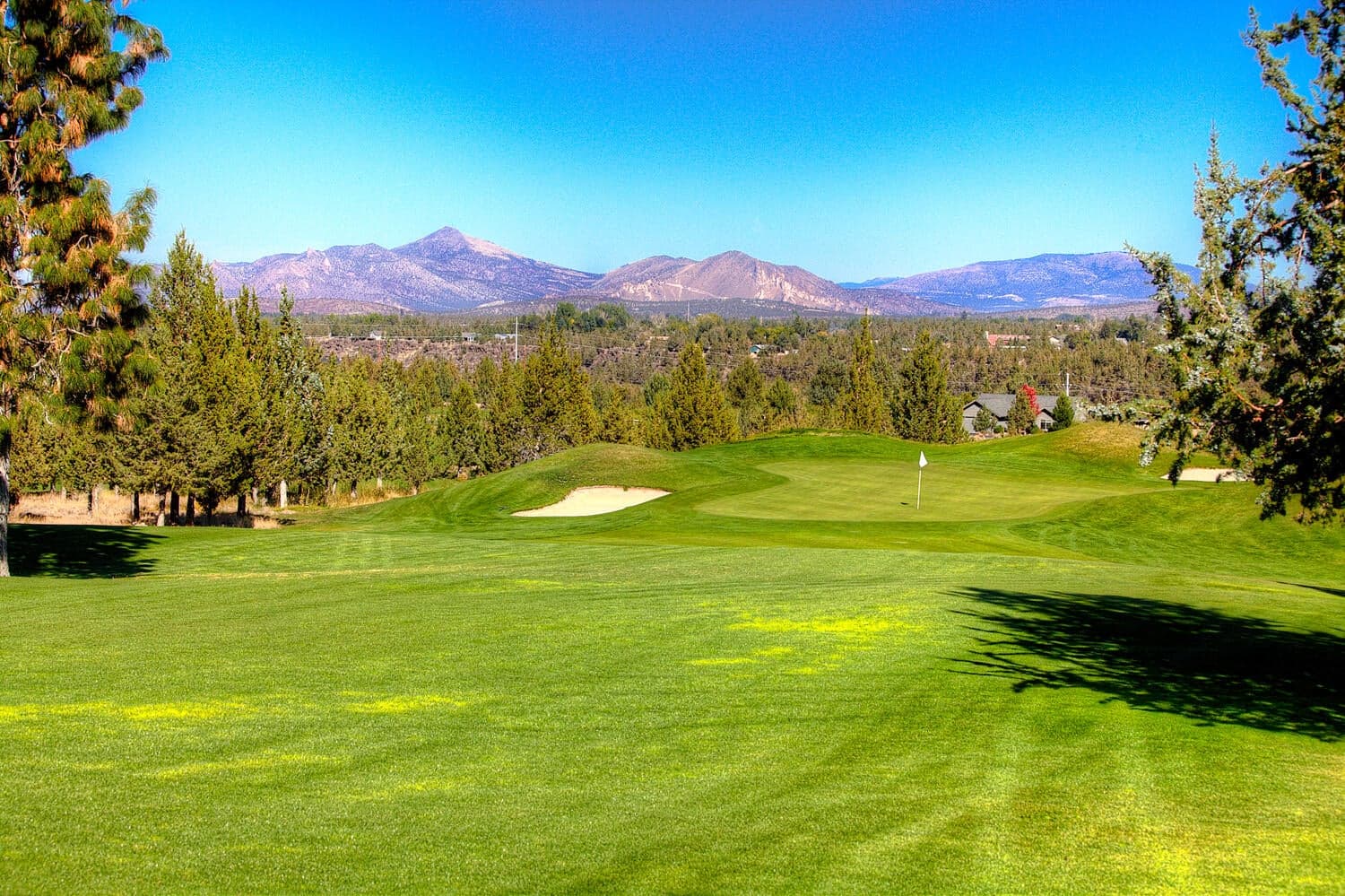Photo of 330 Vista Rim Drive 66 of 103