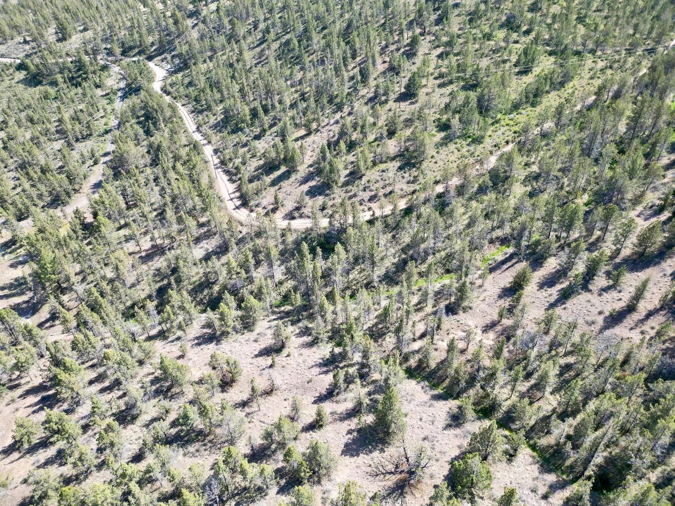 Photo of SE Simpson Road 10 of 12