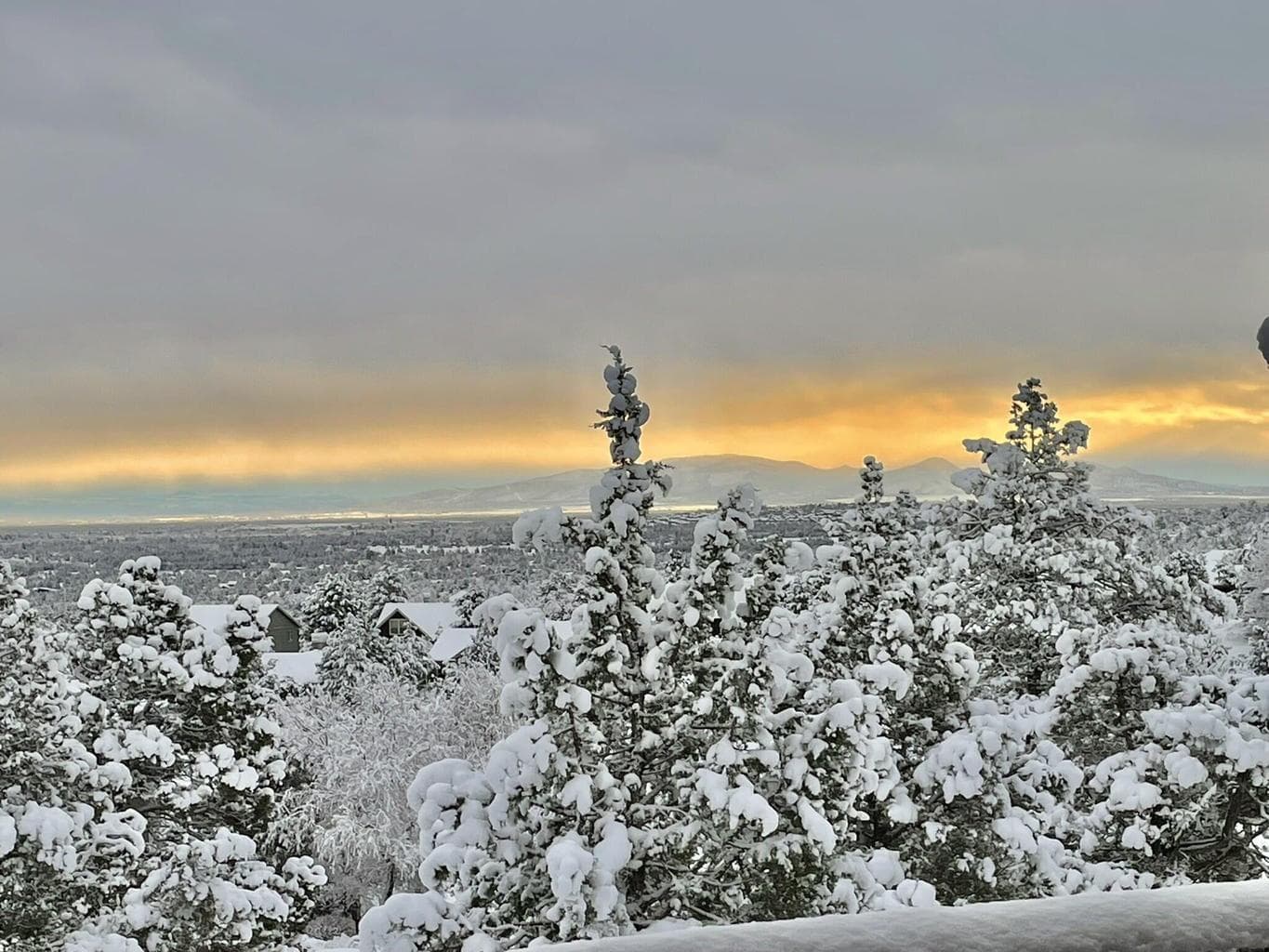 Photo of 330 Vista Rim Drive 32 of 103