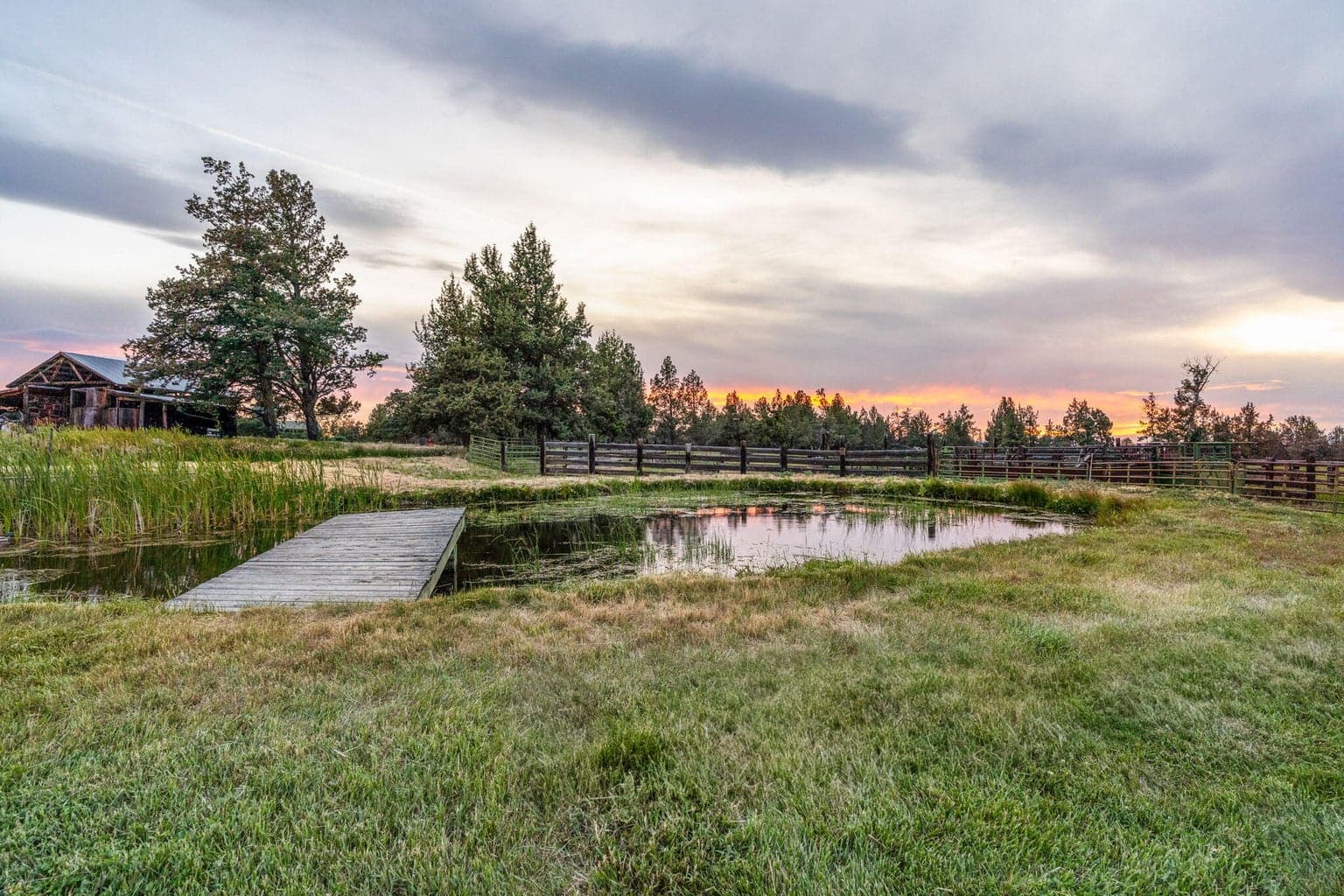 Pond