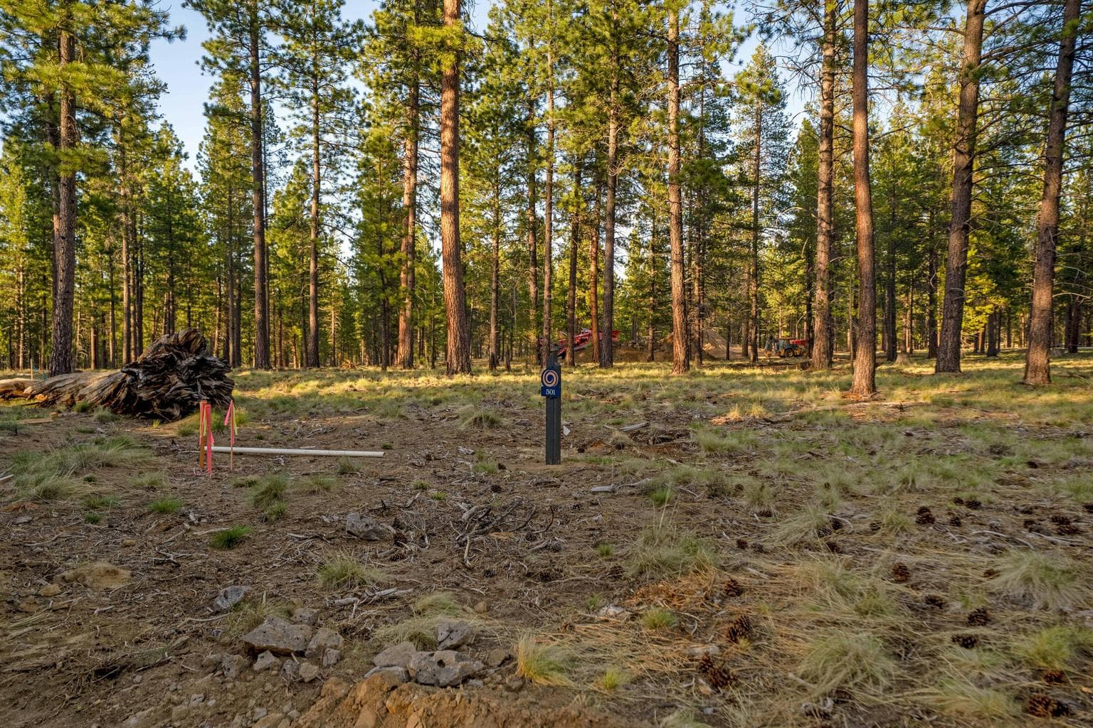 Photo of Elk Run 2 of 27