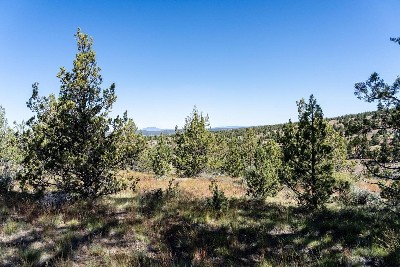 2.25 acre lot