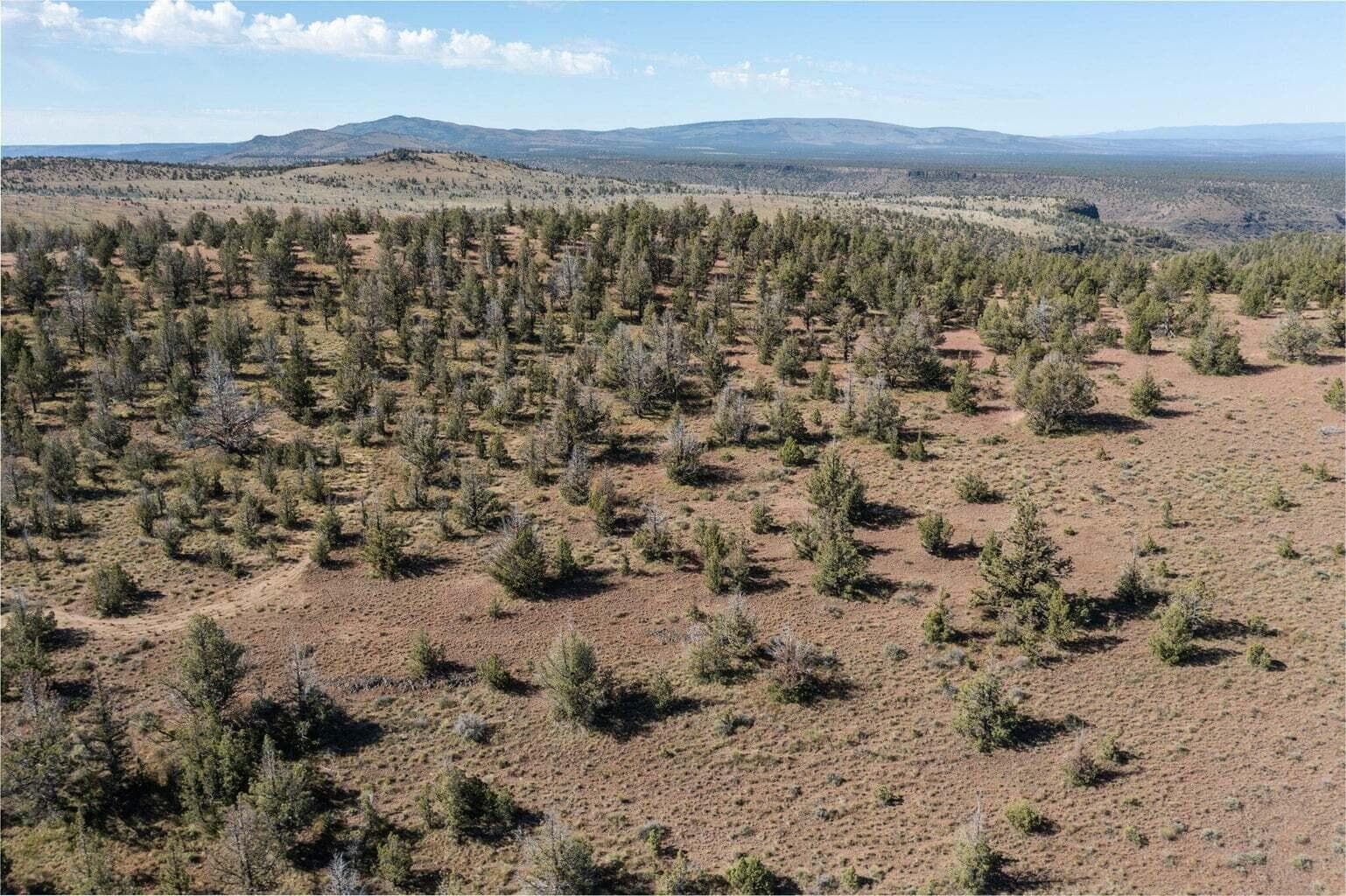 2.25 acre lot