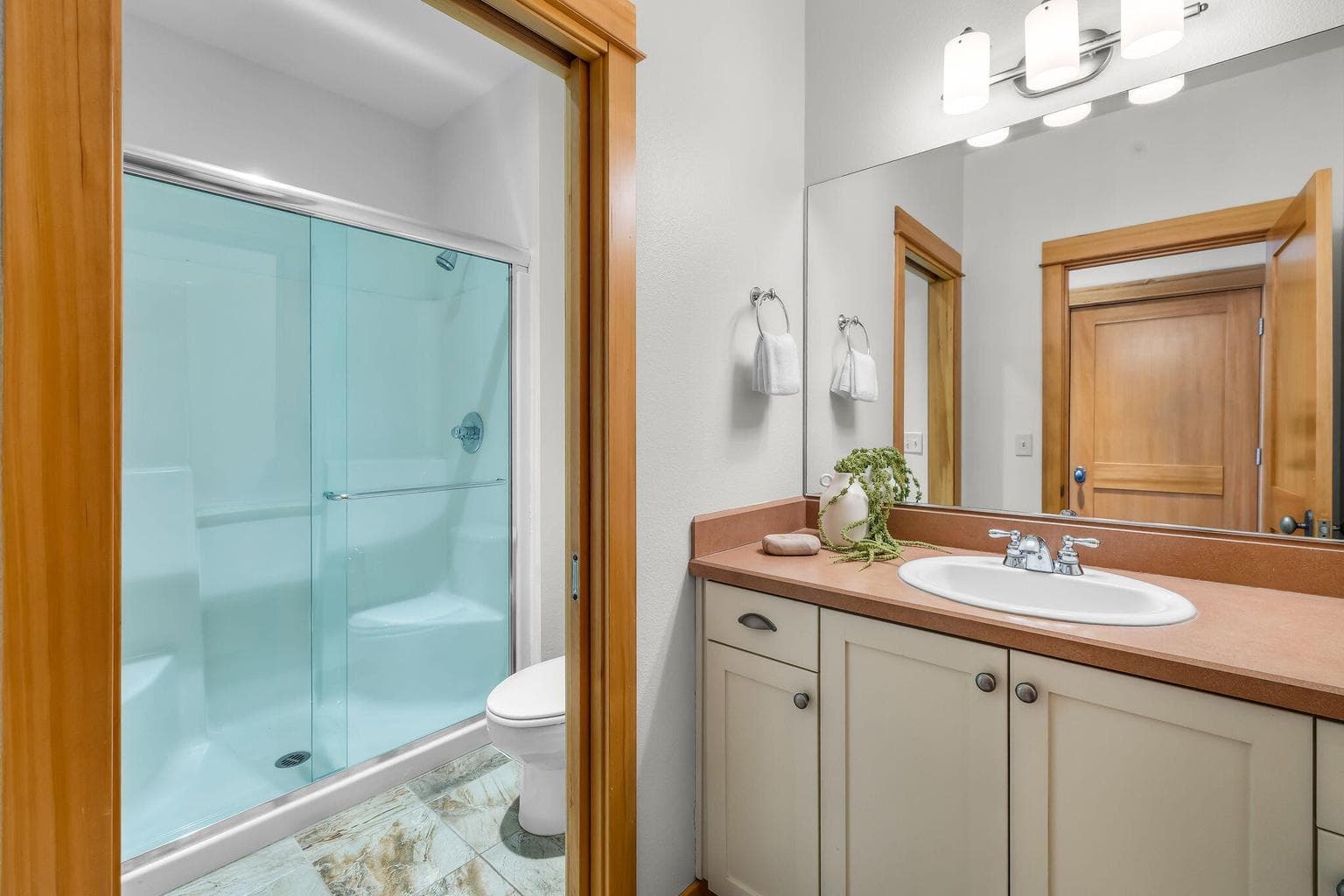 Primary suite bath. Walk in shower