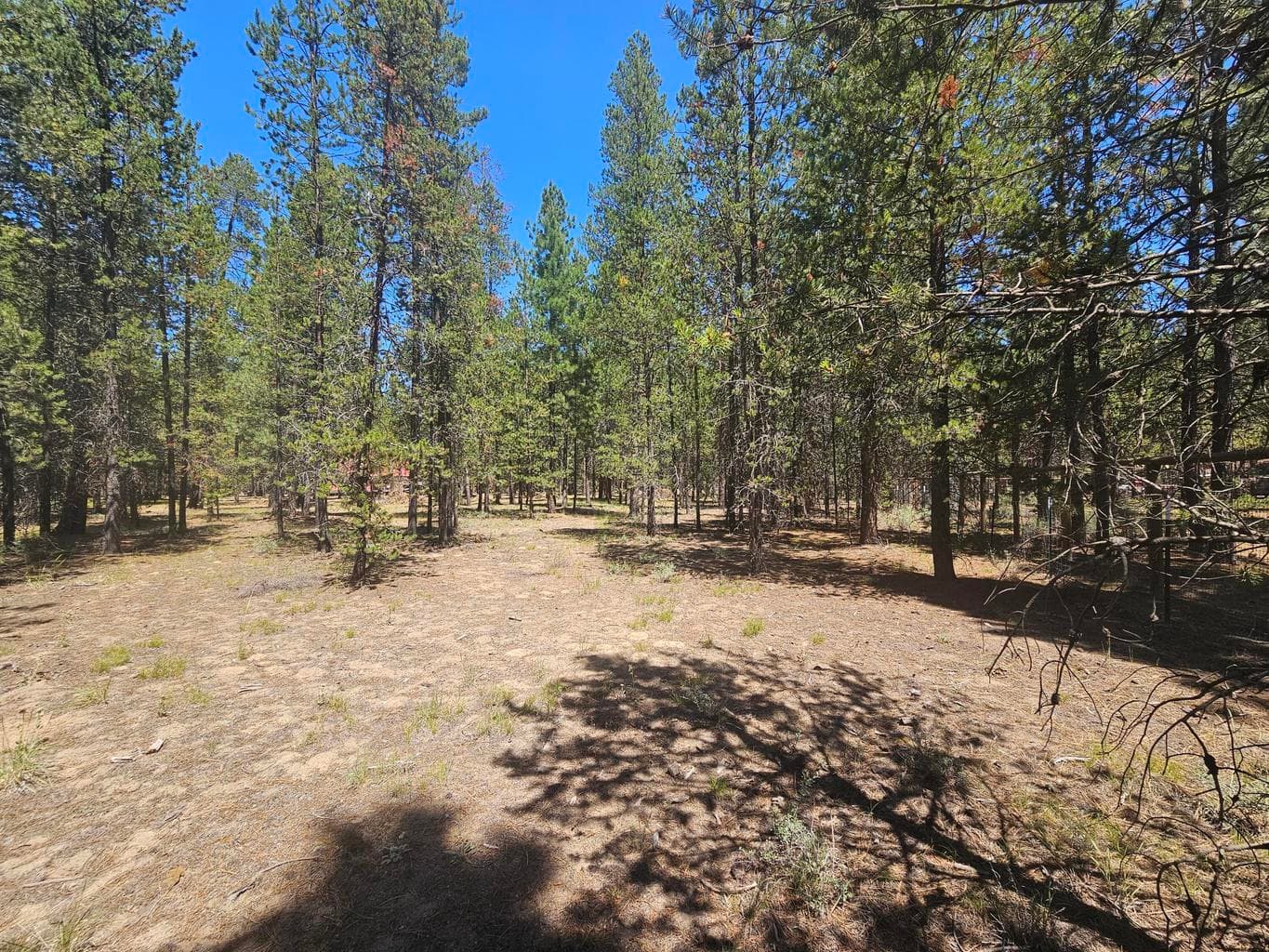 Photo of 53132 Andrews Road 2 of 6
