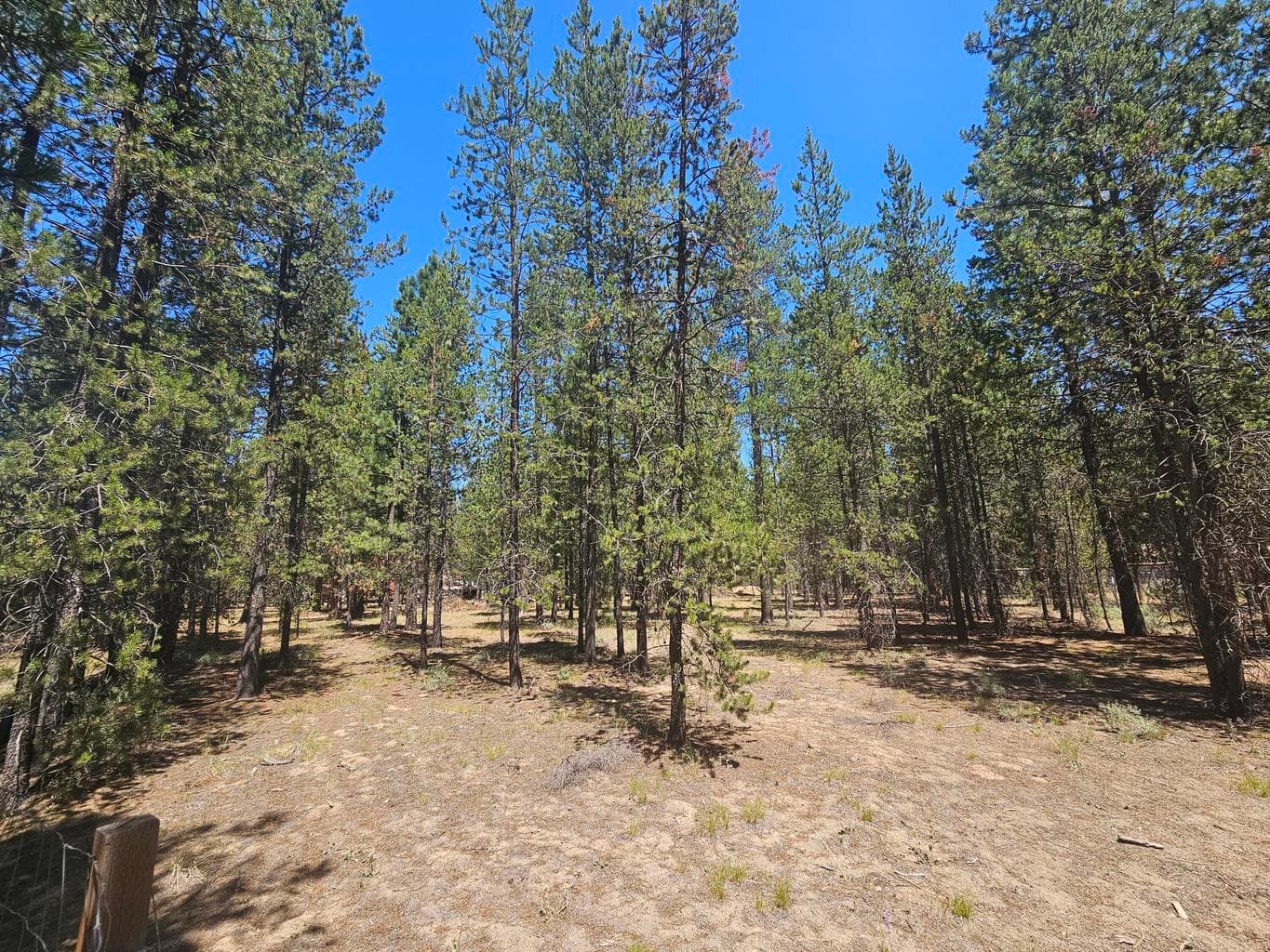 Photo of 53132 Andrews Road 3 of 6