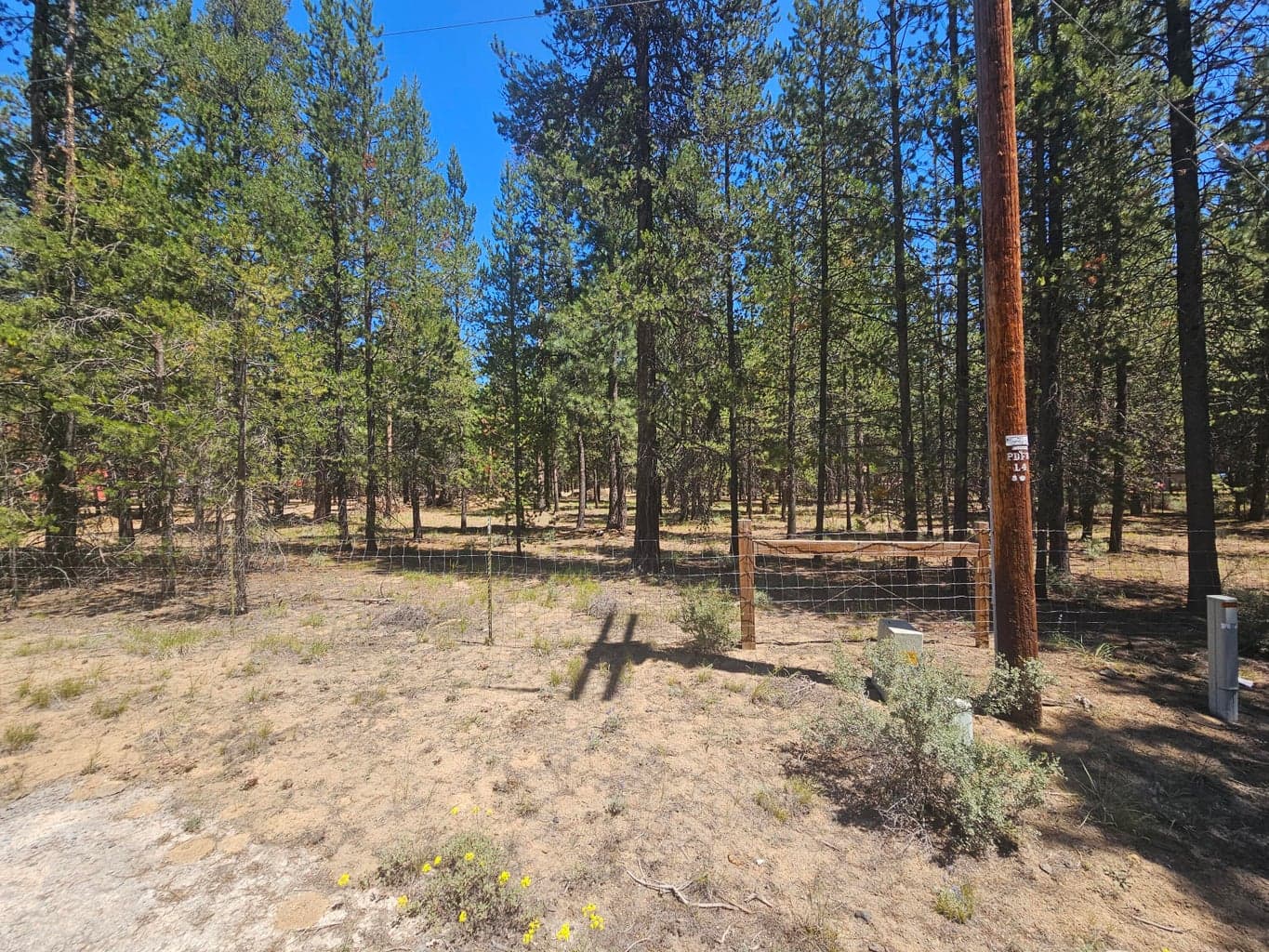 Photo of 53132 Andrews Road 5 of 6