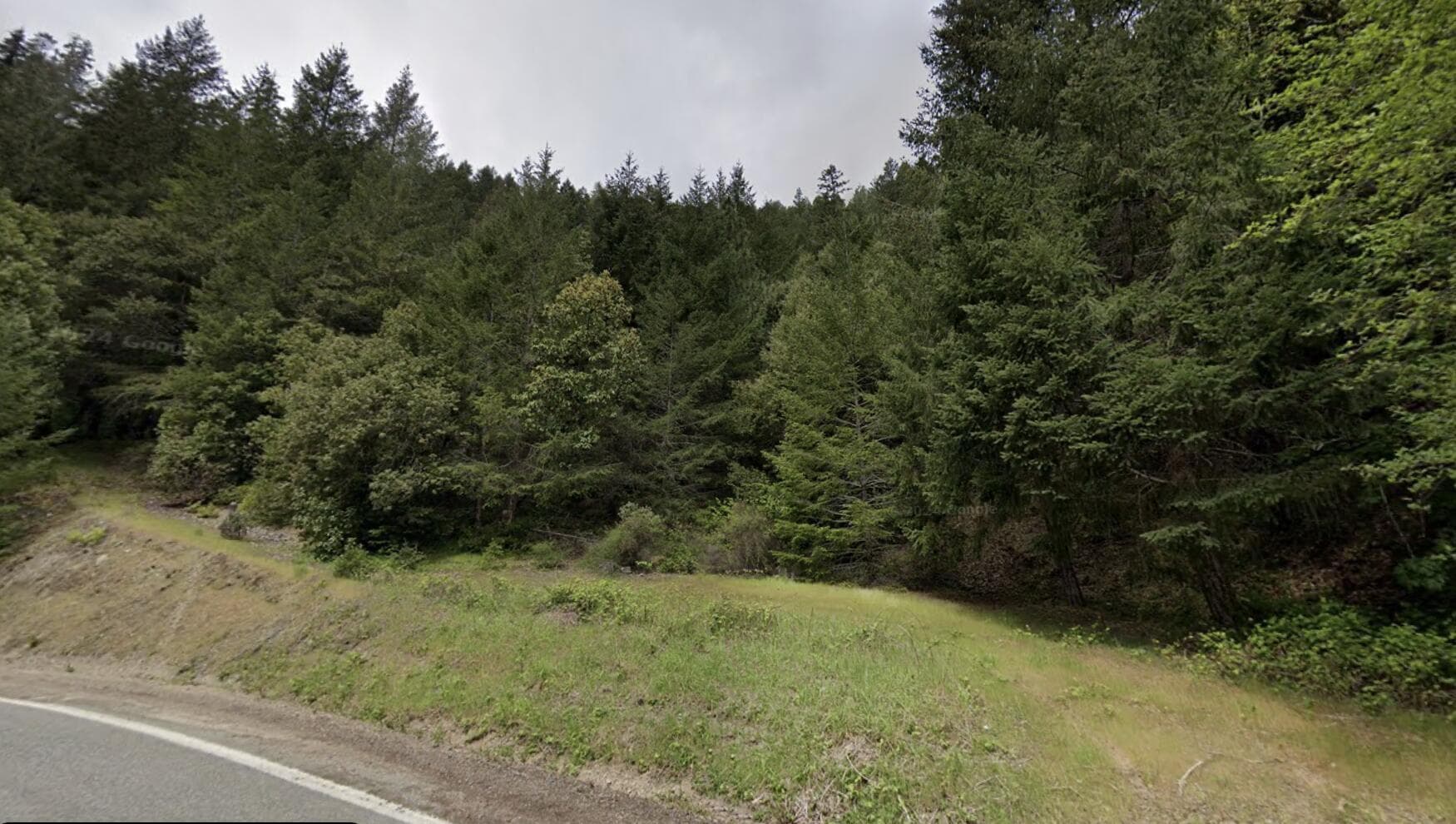Photo of 21800 Lower Grave Creek 3 of 24