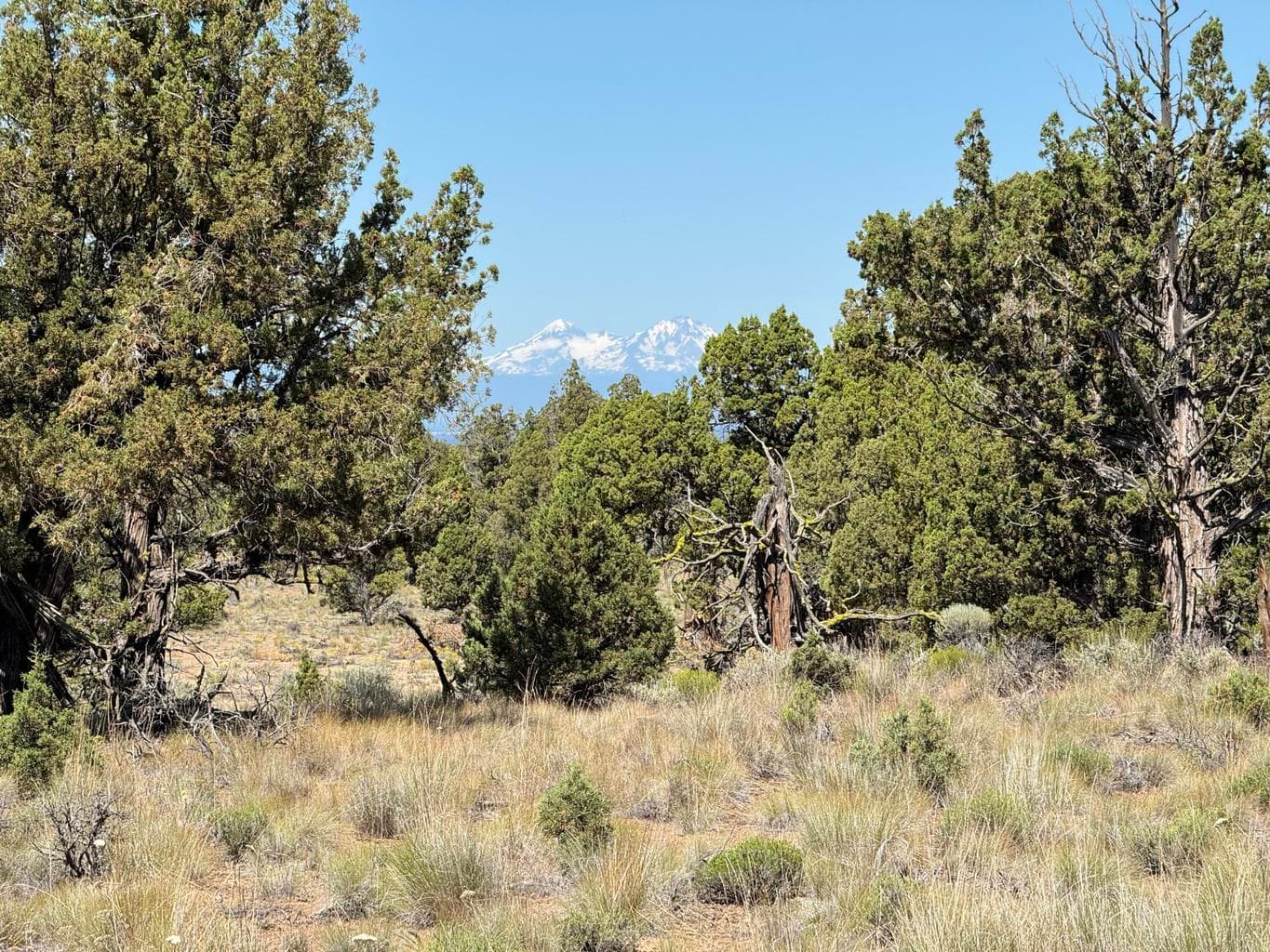 Photo of Tumalo 2 of 15